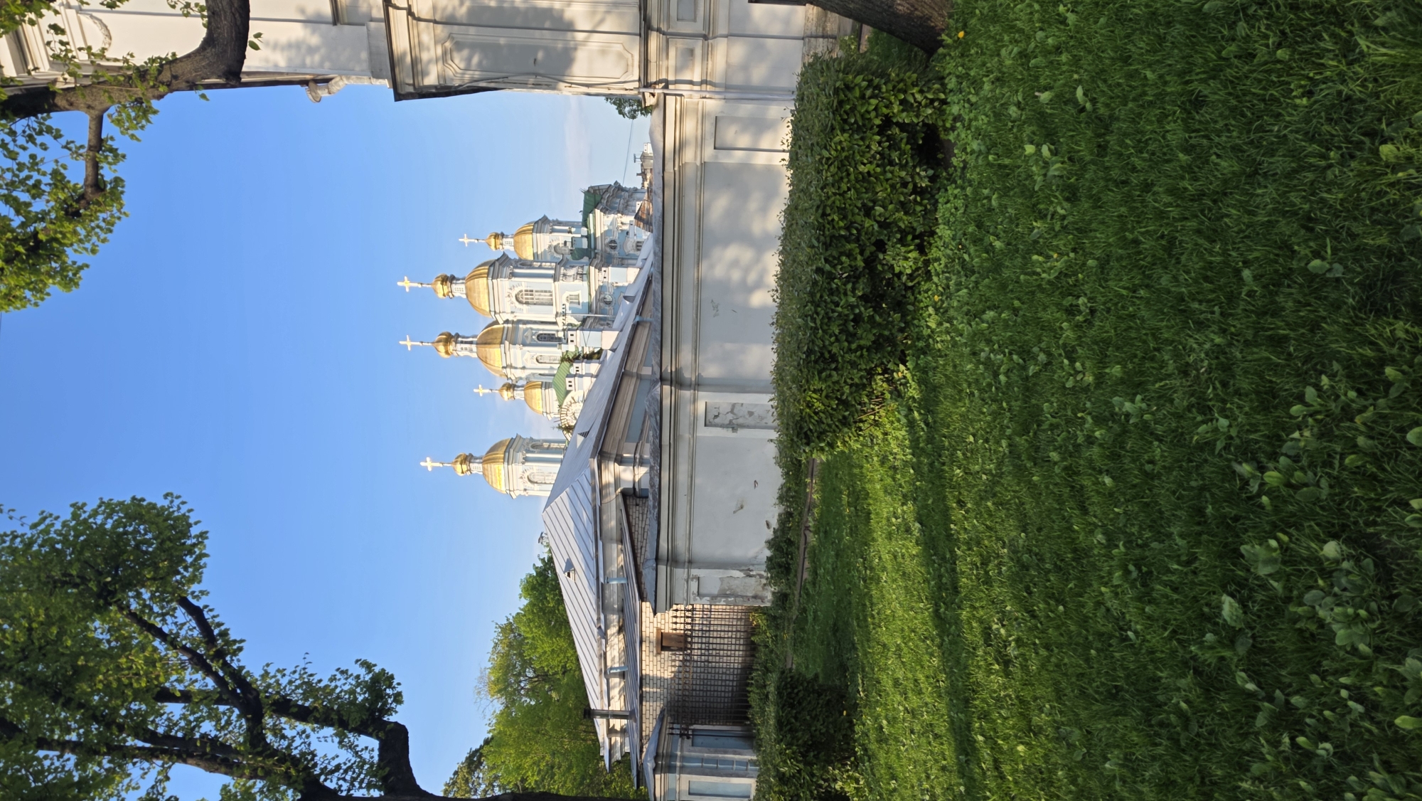 The image captures a view of St. Sophia Cathedral in Saint Petersburg, Russia. The foreground features a green lawn and bushes, with trees visible on the left side of the frame. The cathedral is seen against a clear blue sky, with its golden domes and crosses prominently displayed. The building has a light-colored facade. A secondary building is also partially visible in front of the cathedral, with a grey roof. The perspective is from a low angle, looking upwards towards the cathedral.