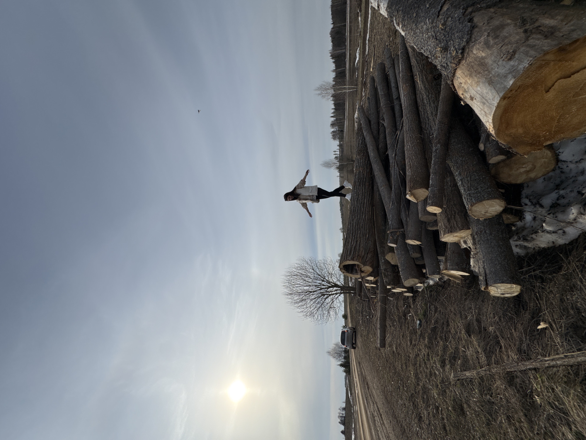 A person is standing on a stack of logs in a rural environment. The person, wearing dark pants and a light-colored jacket, has their arms outstretched. The logs are piled high on the right side of the image. Behind the logs, the ground is covered in brown grass and some patches of snow. In the distance, there is a field and some trees. The sky is overcast with the sun low on the horizon. A bird is visible in the sky. A vehicle is parked near a bare tree and a dirt road. The image has been rotated counter-clockwise. There is no indication that this image is in the city of Van'ki, Russia.