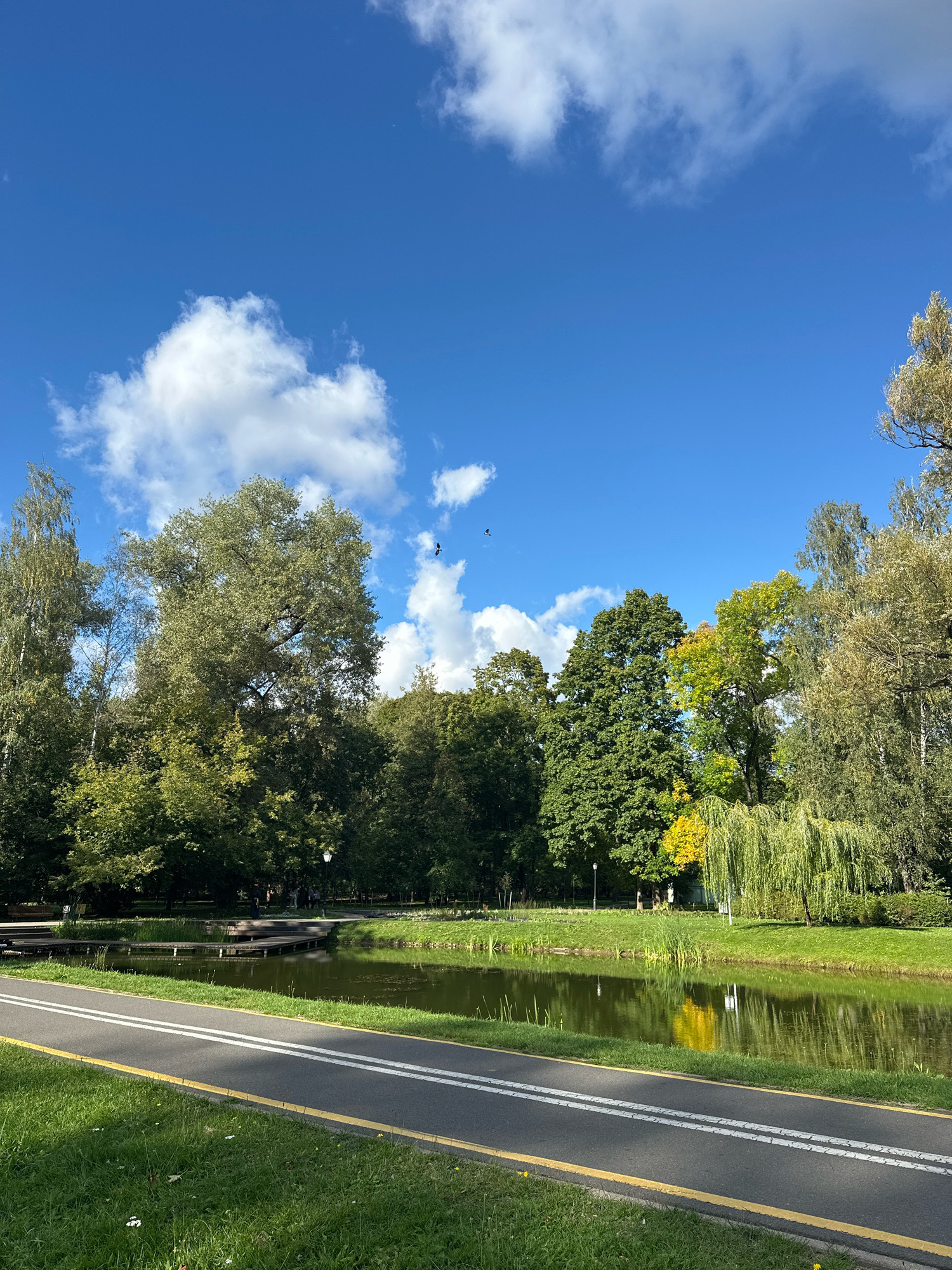 The image shows a park scene in Minsk, Belarus. A paved path, possibly for cycling or walking, runs across the foreground with yellow and white markings. Beyond the path is a calm body of water, likely a pond or small lake, with reflections of the trees and sky. A wooden dock extends into the water from the left side. The background is filled with lush green trees, some showing hints of autumn color, and a bright blue sky with scattered white clouds. Two birds are visible in flight against the sky. In the middle ground, several people can be seen near the water and on a path, but they are small and indistinct. The overall atmosphere is serene and natural, indicative of a public park.
