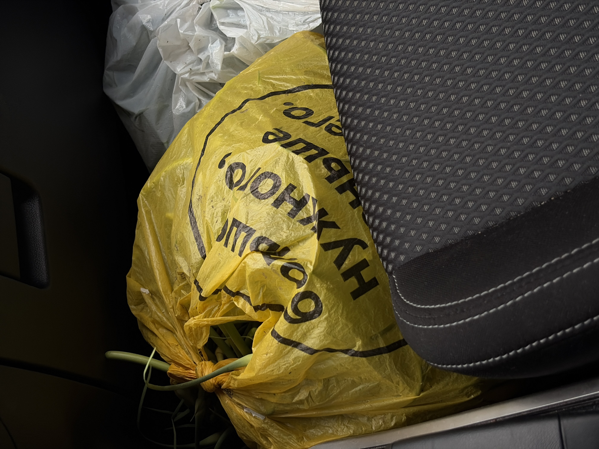 This is a close-up, high-angle shot of the interior of a vehicle in Aleksandrovka, Russia. In the foreground, a portion of a black car seat with white stitching is visible. Behind the seat, a large, crumpled yellow plastic bag is filled with green produce, possibly onions or leeks, which are tied at the top with a string. The bag has black lettering on it, which appears to be Russian text. To the right of the yellow bag, a white plastic bag is also visible. The background is dark and out of focus.