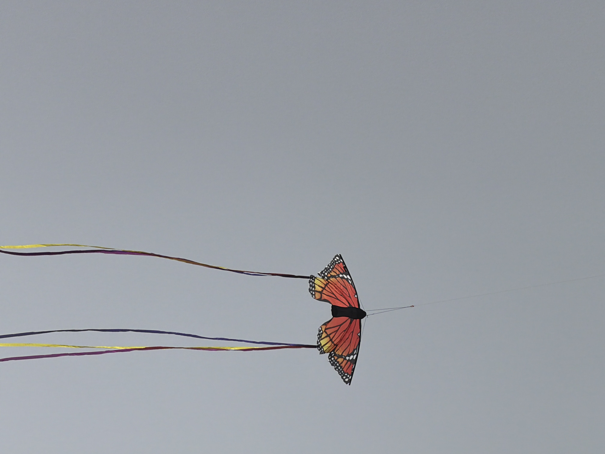 A butterfly kite with a reddish-orange wing pattern is flying against a grey sky. Two sets of colorful ribbons trail behind the kite. The kite is in the lower-middle section of the frame. The exact location in the city of Tel-Aviv, Occupied Palestine is not determinable from the given visual data.