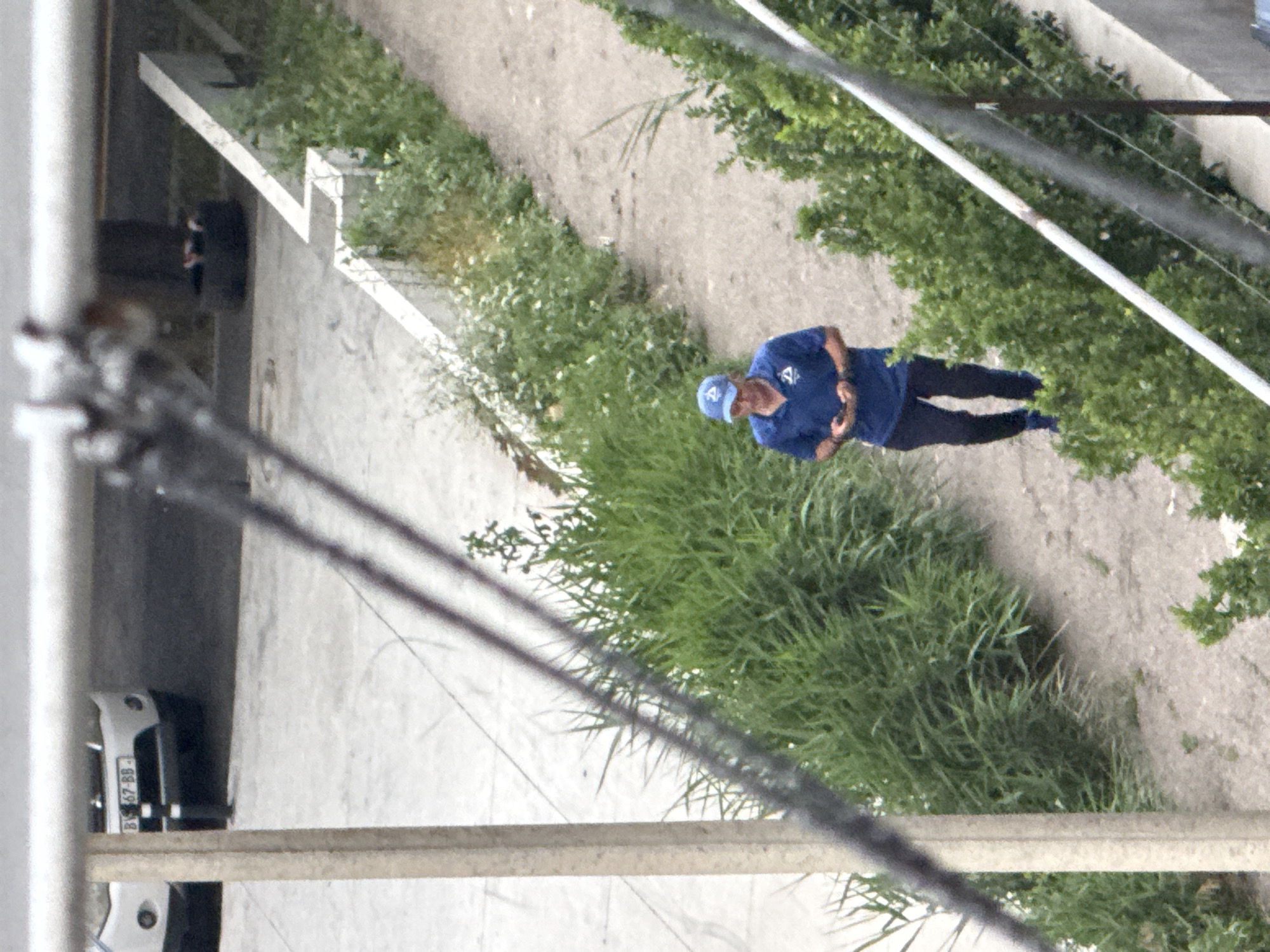 A person wearing a blue polo shirt and a blue baseball cap with a white "A" logo on it is standing on a gravel path. They are wearing dark pants and dark shoes. The person appears to be looking down at something in their hands. The scene is outdoors, with lush green grass and foliage surrounding the path. In the background, there is a concrete structure and some power lines. To the left of the frame, a white car with a license plate that reads "BS 67-BB" is visible. The lighting suggests it is daytime, possibly late morning or early afternoon. The overall setting appears to be a somewhat urban or semi-urban environment, with the presence of infrastructure like power lines and concrete structures alongside natural elements like grass and trees. The image is captured from an elevated perspective, looking down at the scene.