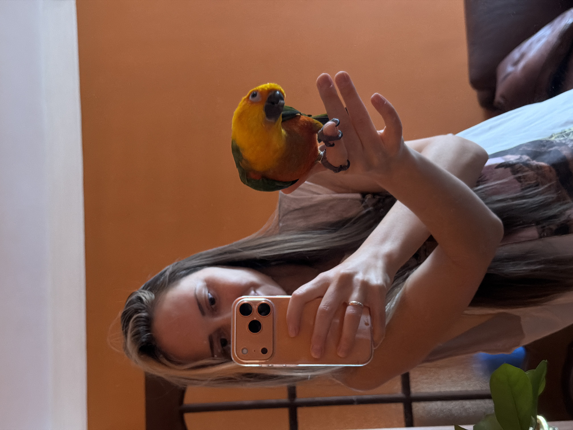 A mirrored selfie captures a woman holding a vibrant sun conure parrot. The woman holds a gold-colored smartphone to take the photo, her face visible behind the phone. She has light brown hair with blonde highlights. The parrot sits perched on her hand, its bright yellow head contrasting with the green and orange plumage on its body. The background is an orange wall with a white corner, suggesting an interior space. A brown leather couch is partially visible in the top right corner. A plant is at the bottom right corner. There is no way to know the location in the city of Khimki, Russia from the given image.