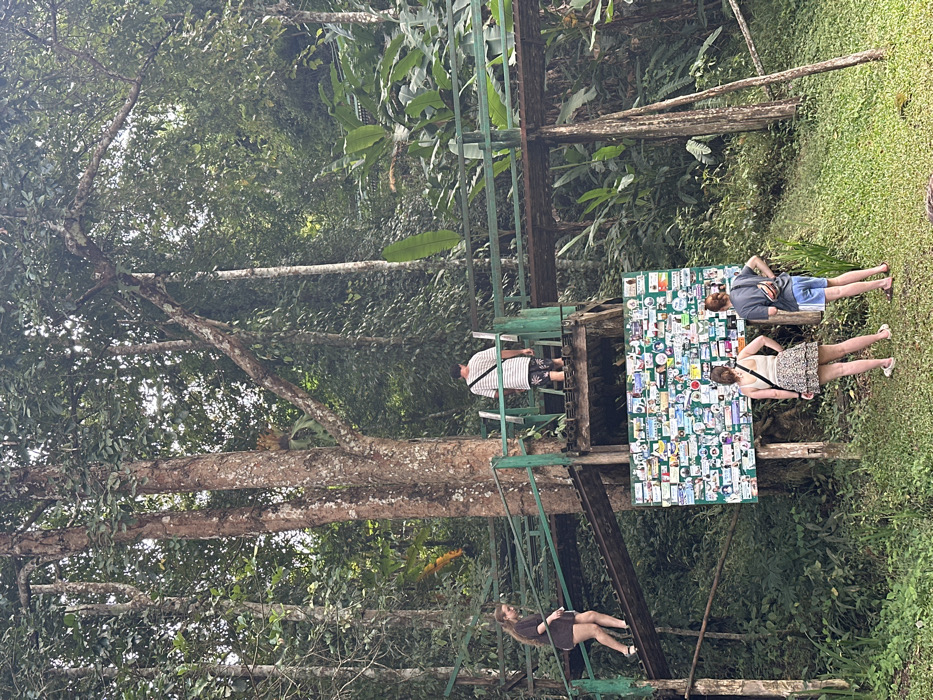 Four people are positioned on and around a wooden structure. One person sits on a swing suspended from it. Another stands on a higher platform, while two others stand adjacent to a board covered in small, colorful images. The structure is surrounded by lush green foliage and tall trees, suggesting a tropical or forested setting. The picture is rotated 90 degrees counter-clockwise.