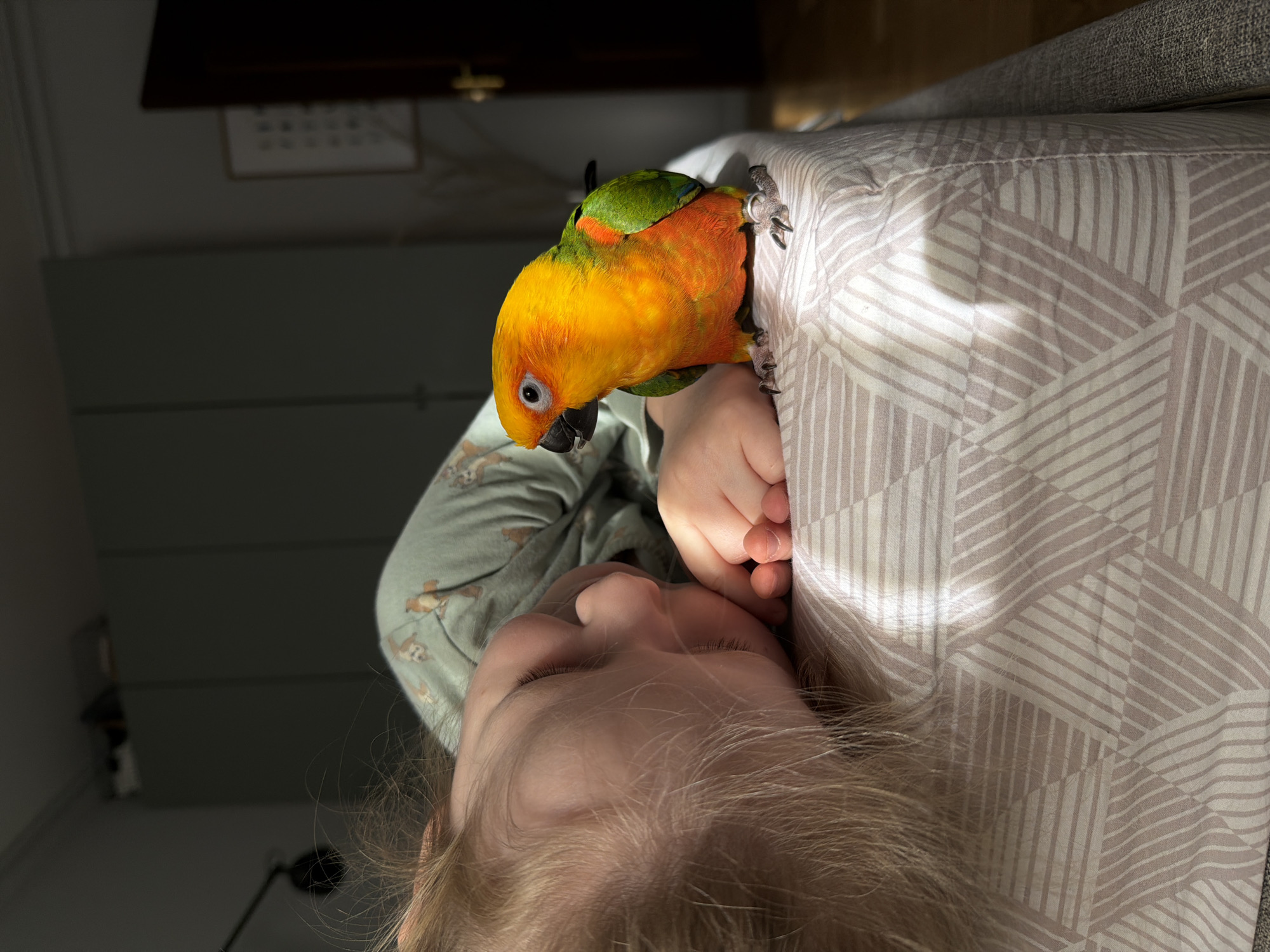 A close-up, tilted shot shows a young child lying on a surface covered with geometric patterned fabric, possibly a blanket or part of a bed. The child, with closed eyes and blonde hair, is wearing a long-sleeved shirt with an animal print. A brightly colored parrot with green, orange, and yellow plumage is perched near the child's head, resting its claws on the fabric. The environment is dimly lit, with a wall and furniture visible in the background. There is no information to assume that this scene is in Khimki, Russia.