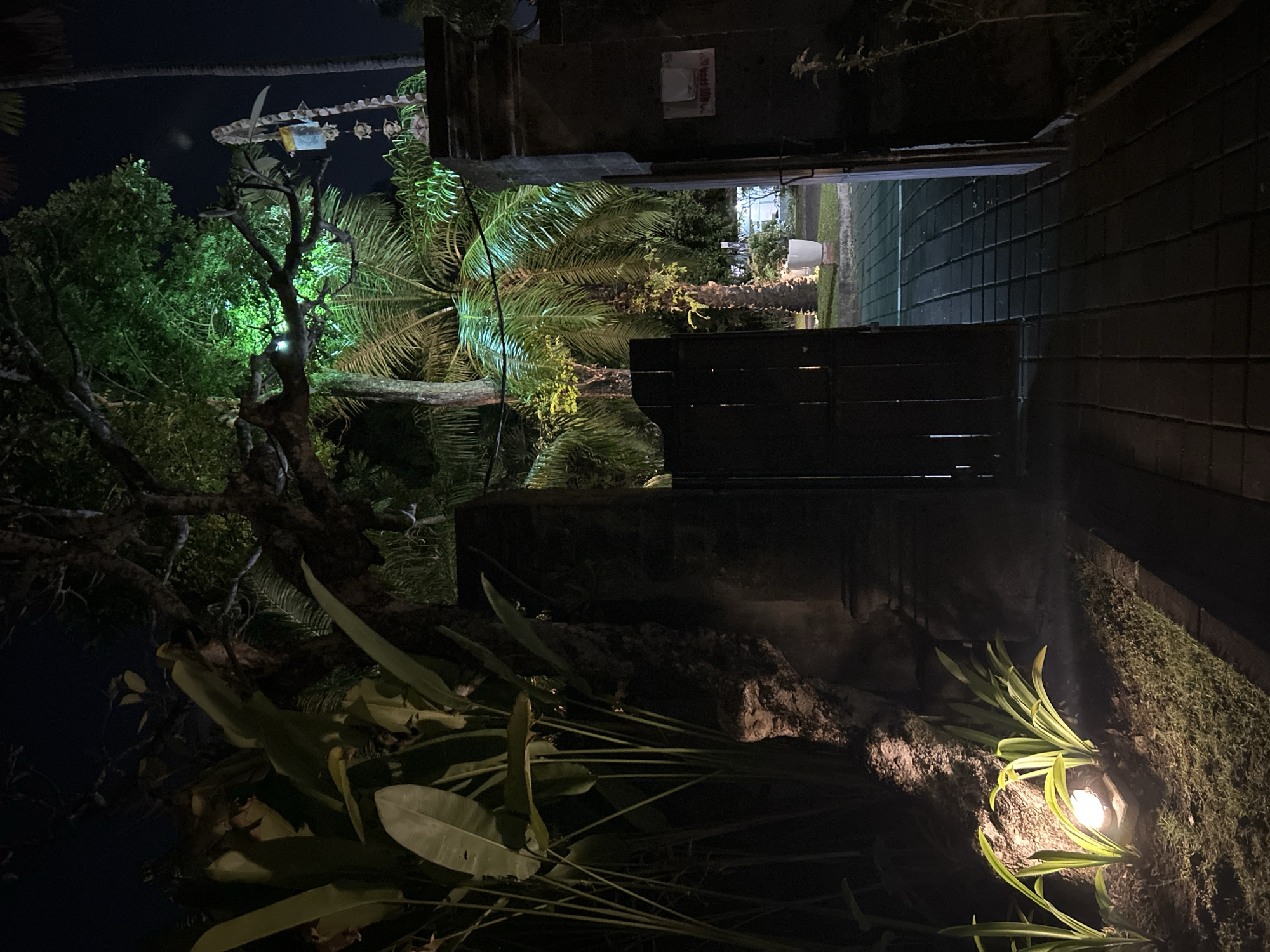 An exterior, nighttime view captures an open doorway leading into a courtyard. The doorway is flanked by stone pillars and features a dark wooden gate. To the left of the gate, lush, tropical foliage, including large, broad leaves and tall stalks, is illuminated by a warm, upward-facing light. Beyond the gate, a paved walkway made of square bricks leads into the courtyard. Palm trees, some lit with green light, are visible in the background, along with a white planter. The scene is dark, with the primary light sources being the uplighting on the plants and the green illumination on the trees. The location is identified as Denpasar, Indonesia.