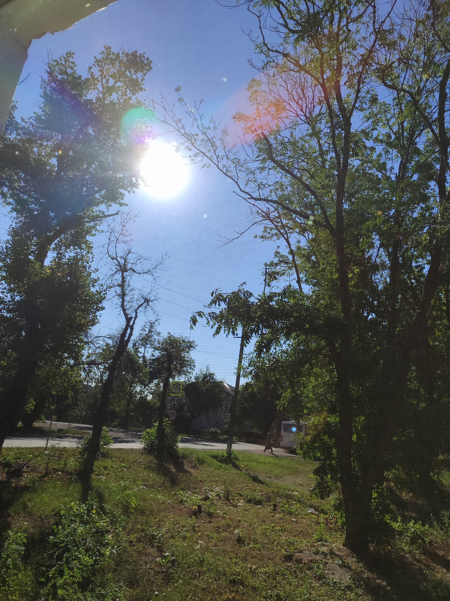 A sunny daytime outdoor shot shows a view through trees toward a road and some buildings. The sun is bright and appears in the upper left quadrant of the image, with lens flare and light streaks. The sky is blue. In the foreground, green grass and plants are visible, with shadows cast by trees. To the left, a large tree with dark green leaves dominates the scene. In the middle ground, a road runs horizontally across the image. On the road, a white van is parked, and a person is walking away from it. Several other trees, some bare and some with leaves, are scattered throughout the scene. In the background, a few buildings are visible. A speed limit sign with the number 20 is posted on the right side of the road.