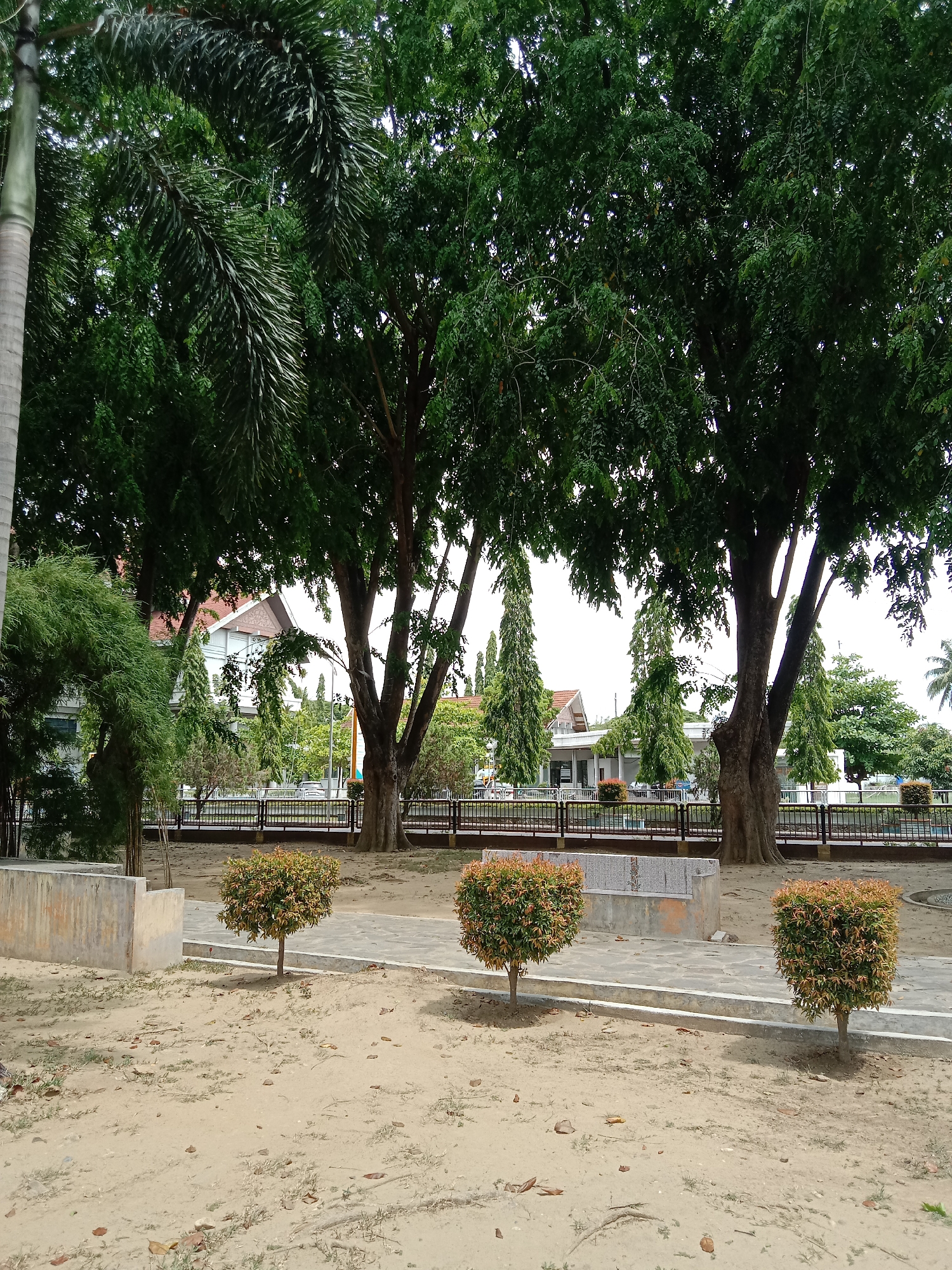 The image depicts a park scene in Lhokseumawe, Indonesia. In the foreground is an area of sandy soil scattered with leaves. Three small, neatly trimmed bushes are planted along a concrete walkway. A low concrete wall and bench are visible further back. Beyond that, a black metal fence separates the foreground from a more distant area. Several tall trees with dense foliage dominate the scene, casting shadows and obscuring some details. Buildings can be seen through the trees in the background. A tall, slender palm tree is partially visible on the left edge of the frame.