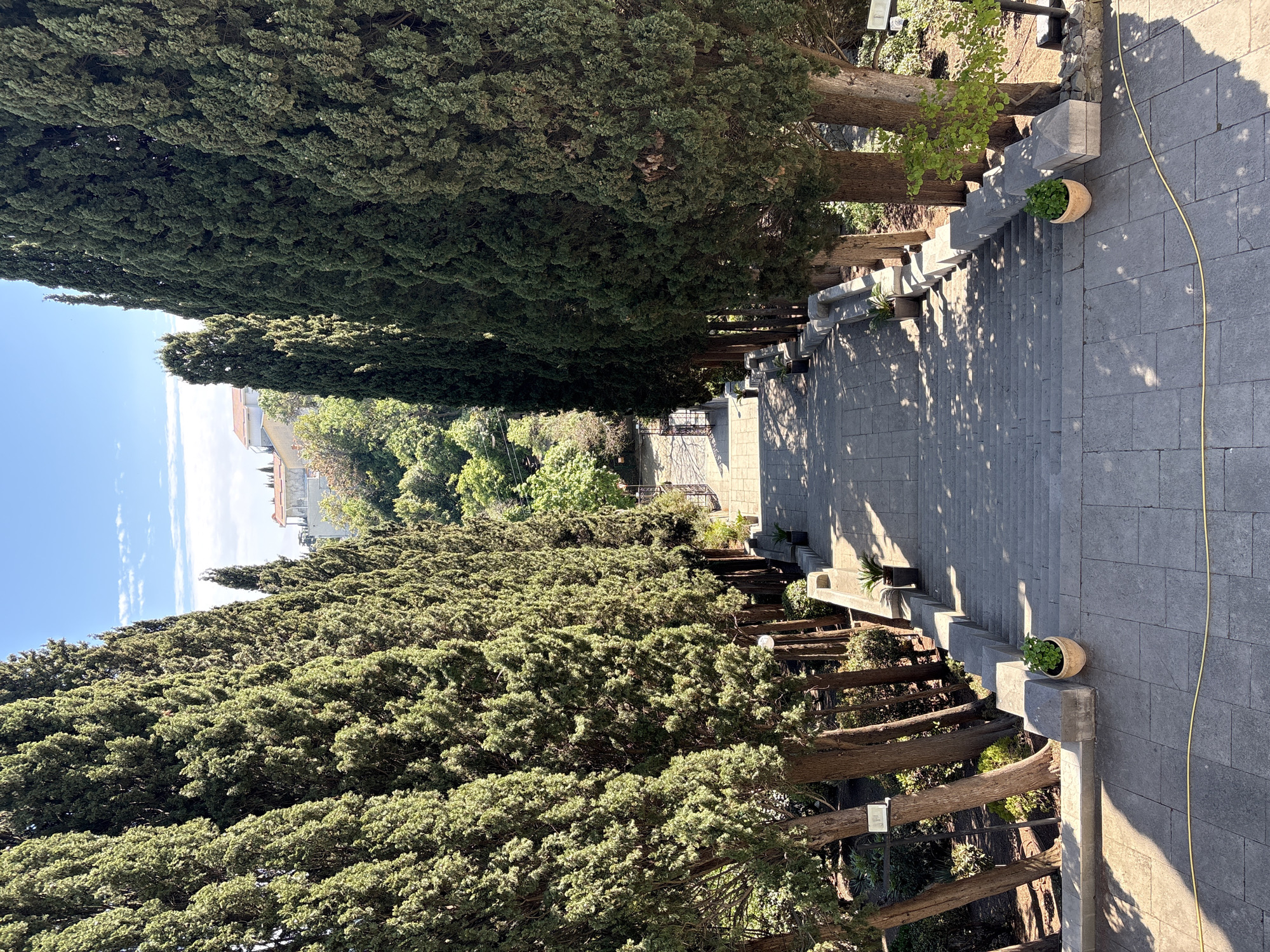A high-angle, full shot depicts a long staircase flanked by tall, dense trees in the city of Yalta, Ukraine. The staircase appears to be made of gray stone or concrete, with multiple steps leading down. A yellow hose runs along the right side of the staircase. On either side of the staircase are rows of tall, evergreen trees that create a narrow corridor. Sunlight filters through the trees, casting shadows on the staircase. Some potted plants are placed along the staircase walls. In the distance, there is a glimpse of buildings and other greenery. The sky is visible at the top of the frame, appearing clear and blue.