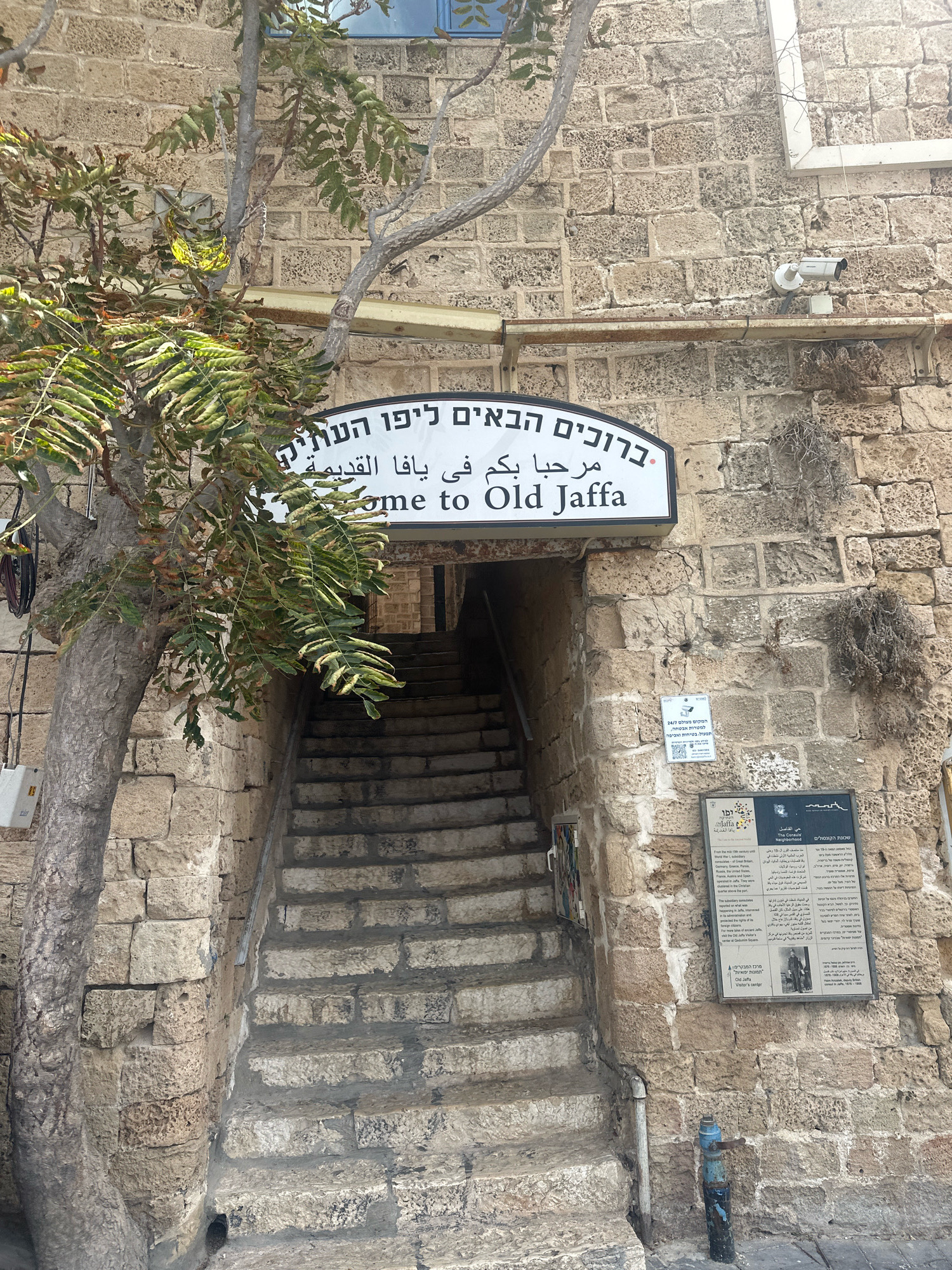 The image shows an entrance to Old Jaffa, a historic port city now part of Tel Aviv-Yafo, Israel. A stone staircase ascends to a dark entryway, flanked by a rough-hewn stone wall. A leafy tree grows to the left of the stairs, its branches partially obscuring a white sign that reads "Welcome to Old Jaffa" in English, Hebrew, and Arabic. To the right of the entrance, a security camera is mounted on the wall, and below it, a large informational plaque details the history of the "Consulate Neighborhoods" in Hebrew and English, featuring illustrations and text. A blue pipe emerges from the ground at the bottom right of the frame. The scene is bathed in natural light, suggesting it was taken during the daytime.