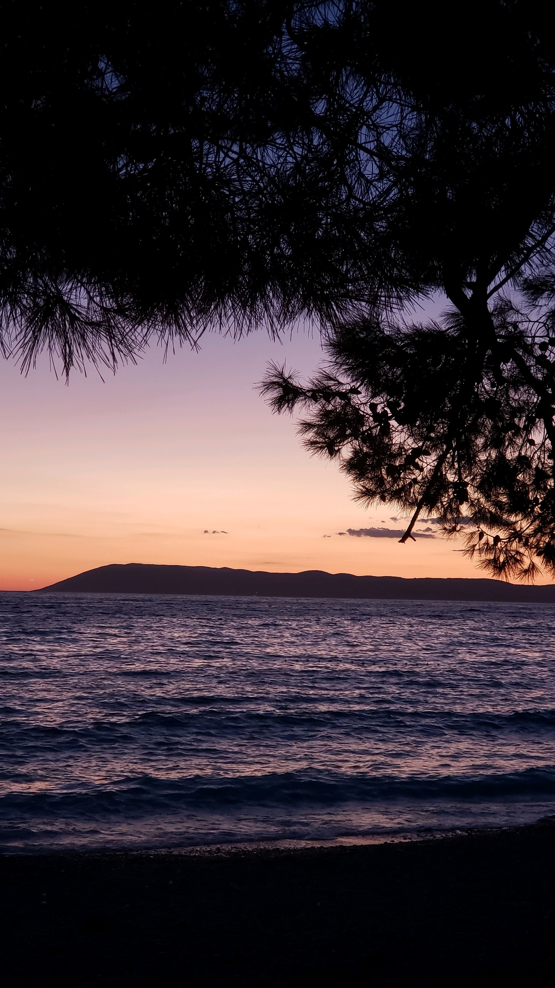 The image depicts a serene seascape at dusk, viewed from a beach in Općina Tučepi, Croatia. Silhouetted pine branches frame the top of the scene, their dark forms contrasting with the soft gradient of the sky. The sky transitions from a pale lavender near the horizon to a deeper purple towards the top. A distant, dark landmass, likely a mountain range, is visible as a silhouette against the horizon line. The sea in the foreground is a deep indigo, with gentle waves lapping against the pebbled shore. The overall impression is one of tranquility and natural beauty, characteristic of a Mediterranean sunset.