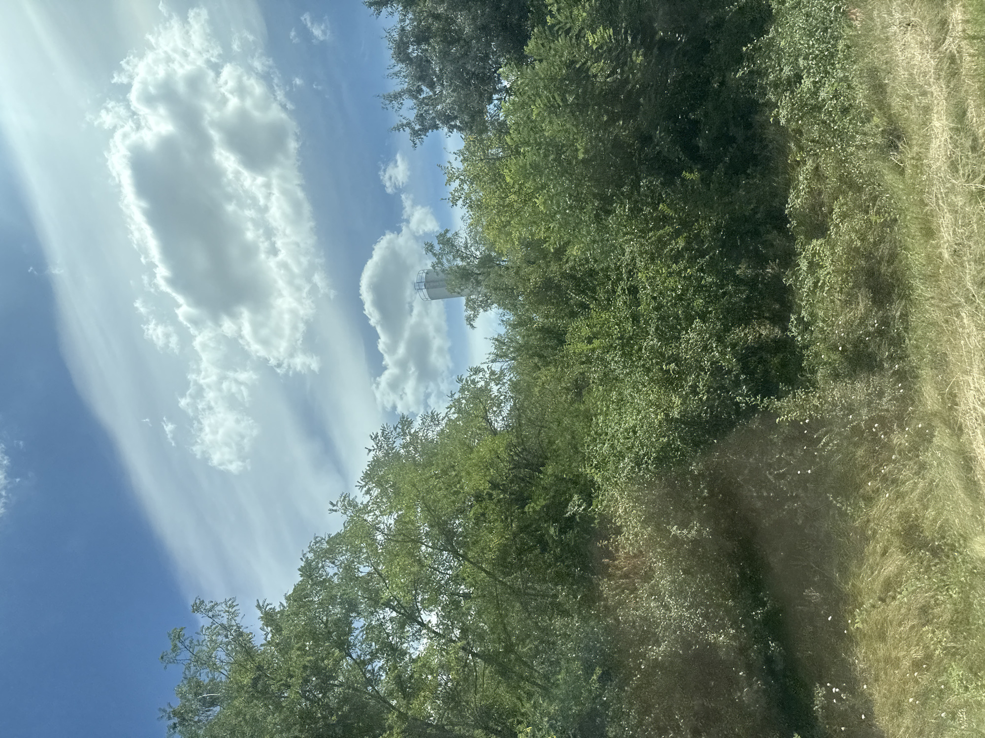The image depicts a rural landscape in Sagaidacul Nou, Moldova, under a bright blue sky with scattered white clouds. Lush green trees and vegetation dominate the foreground and midground, with a noticeable absence of people. In the distance, a tall, cylindrical structure, possibly a water tower or silo, is visible amongst the trees, indicating some level of infrastructure in the area. The overall impression is one of a serene, natural setting with a hint of human development.