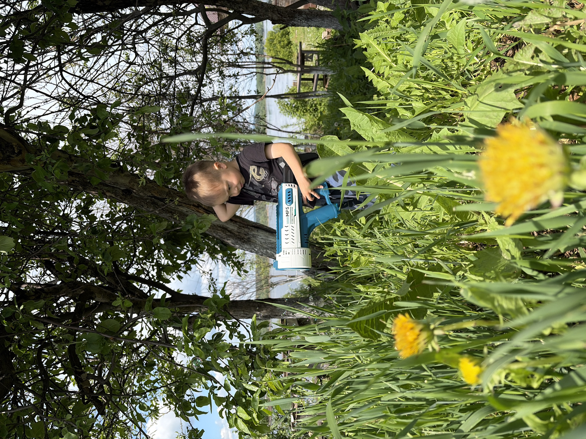 A young boy is depicted outdoors, engaged in playing with a bubble gun. He has light brown hair and is wearing a dark t-shirt with a graphic and camouflage pants. The bubble gun he holds is blue and white, with "MP5" visible on its side, and he appears focused on the bubbles emerging from it, some of which are seen floating in the air.
The scene unfolds in a sunlit natural environment, indicative of a clear daytime, likely late morning or afternoon. A tree with numerous branches and green leaves frames the left side of the image. The foreground and right side are filled with lush green grass and tall foliage, interspersed with several vibrant yellow dandelions, some in sharp focus and others softly blurred.
In the background, a calm body of water, resembling a lake or river, stretches out. The opposite shore is faintly visible, featuring what appears to be a wooden picnic table or bench amidst distant greenery. The location context suggests this serene outdoor moment takes place in Ольховка, Russia. The boy's demeanor suggests a state of engrossed play and enjoyment.