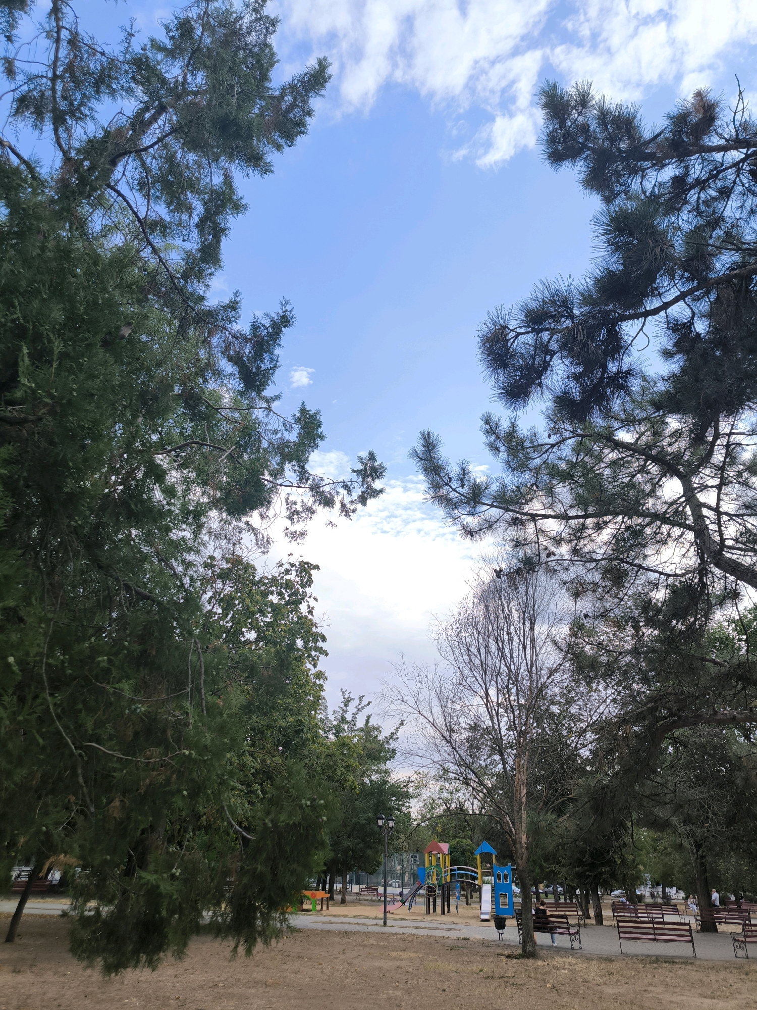 The image depicts a park scene with a playground, benches, and trees under a partly cloudy sky. In the foreground, a sandy area is visible with some dry grass. To the left and right, large trees with green foliage frame the sky. In the midground, a colorful children's playground is set up, featuring slides, climbing structures, and swings. Several park benches are positioned throughout the area, some occupied by individuals. The background shows more trees and the faint outlines of buildings and parked cars, suggesting an urban park setting. The sky is a bright blue with scattered white clouds. The overall impression is of a public park with recreational facilities. The image was taken in Mykolaiv, Ukraine.