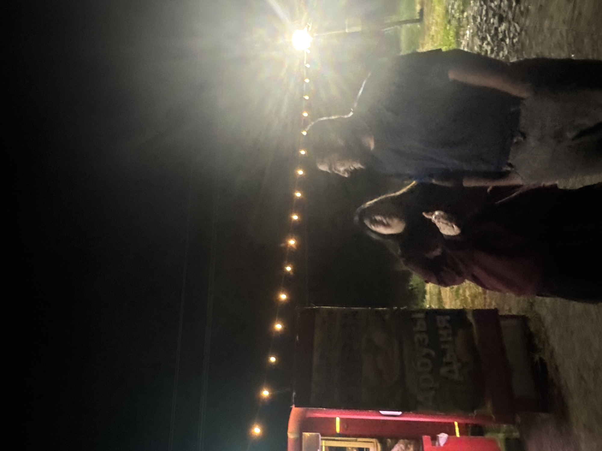 This media file shows a low-angle shot of two people at night, possibly at an outdoor event or gathering. A bright, overexposed light source dominates the top of the frame, creating a sunburst effect. Below this, a string of illuminated bulbs hangs vertically, casting a warm glow.
In the foreground, the silhouette of a person in a dark shirt is visible, facing away from the camera. To their right and slightly lower, another person is seen from the side, also in dark clothing. Their faces are partially obscured, but they appear to be interacting or looking in the same direction.
Behind the individuals, there is a structure with red accents and a dark awning. Text in Cyrillic script is visible on a panel of this structure, reading "ДРУЗЬЯ" and "ДНЯ". The ground appears to be wet or covered in gravel, and there is some greenery visible in the background, suggesting an outdoor, possibly rural, setting. The overall mood is somewhat mysterious due to the low light and the partially obscured subjects. The time of day is clearly night.