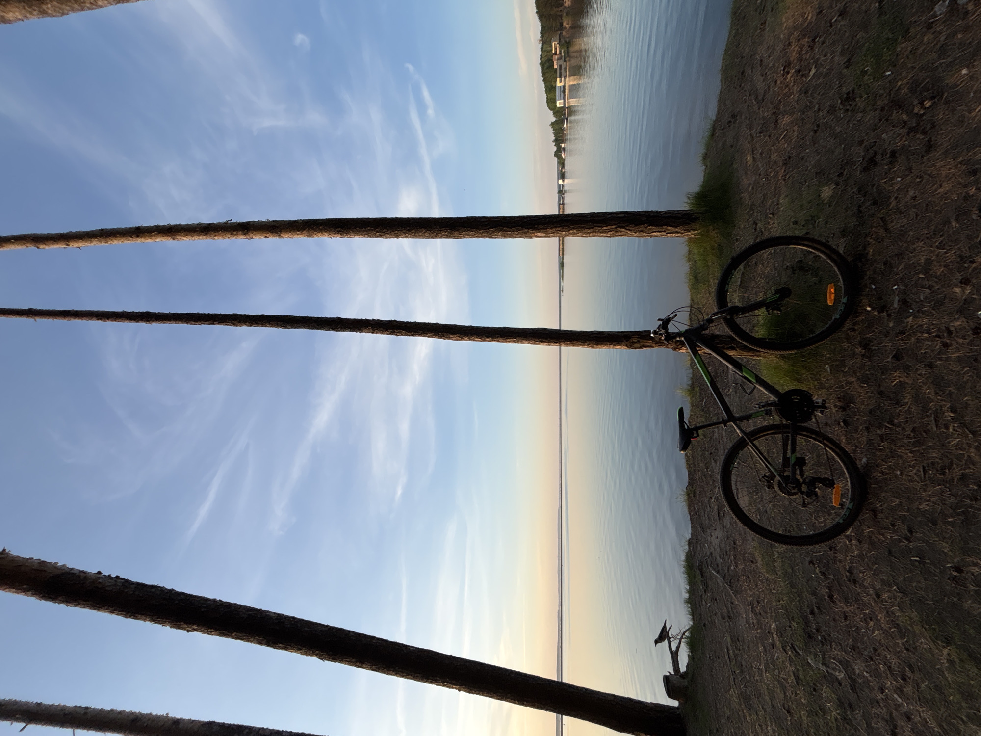 The image depicts a bike parked on a grassy verge next to a body of water. Three tree trunks stand vertically in the foreground, partially obscuring the view of the water. The sky is light blue with streaks of white clouds. Across the water, structures and trees line the opposite shore. The photograph appears to be taken at the location on the Kama river in the city of Chaikovsky, Russia.