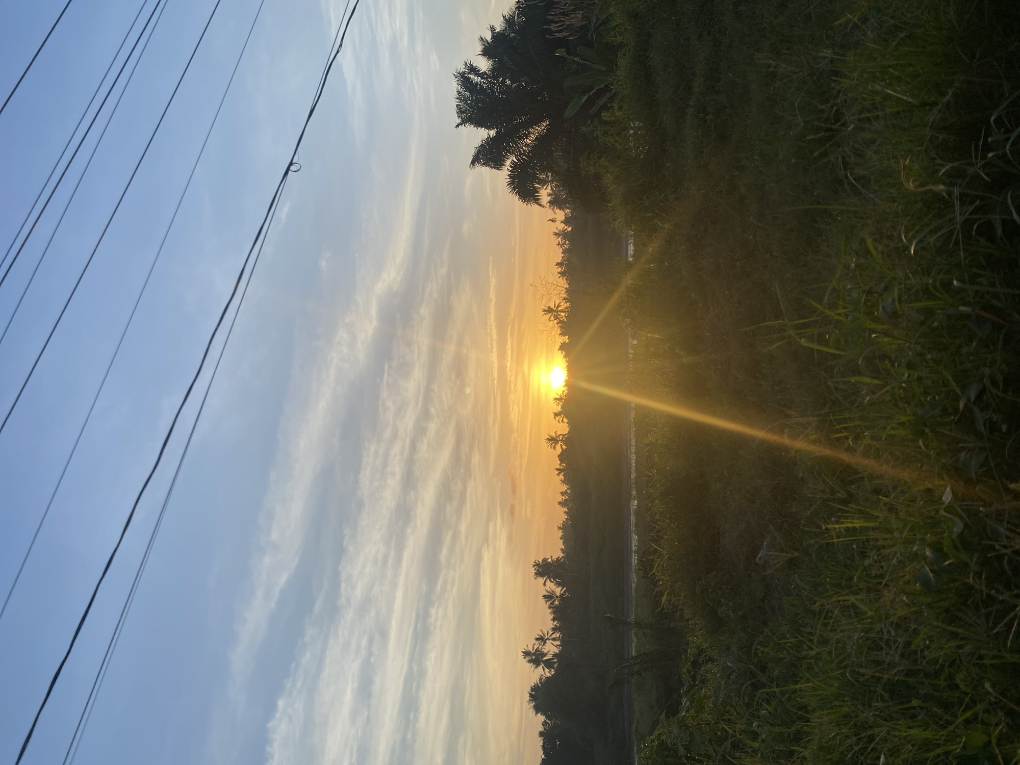 The image depicts a landscape at sunset in Blang Mee, Indonesia. The sky is a gradient of blue to orange, with thin clouds scattered across. Electrical wires are visible in the top left corner. A line of trees with palm trees silhouettes runs along the horizon. The sun is positioned at the center, shining brightly. Dense green vegetation fills the foreground and the side.