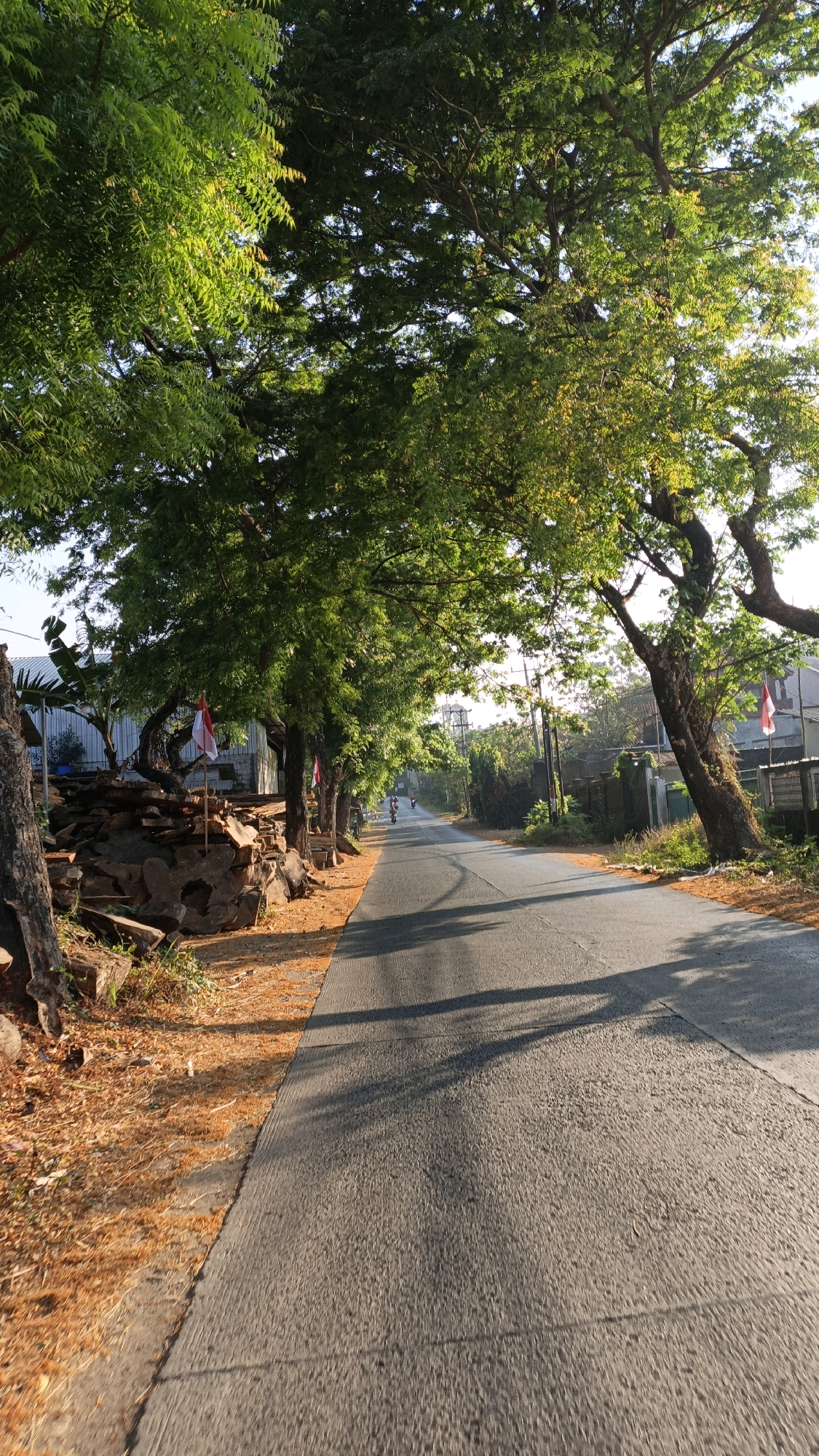 The image depicts a paved road lined with mature trees casting shadows. The road appears to be in a semi-urban or rural setting, possibly in Bandengan, Indonesia, given the presence of Indonesian flags affixed to some of the trees. On the left side of the road, a pile of cut wood is stacked, and on the right, there are buildings and vegetation. A few individuals on motorcycles can be seen further down the road, suggesting ongoing activity. The scene is illuminated by natural sunlight, indicating it is daytime. The overall impression is one of a tranquil, possibly residential street in a tropical climate.