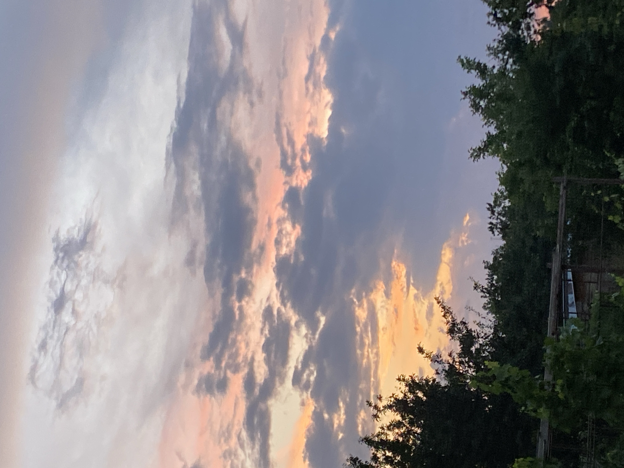 The image captures a sunset sky over Kushchovskaya, Russia. Wispy clouds are illuminated with hues of pink and orange, contrasting with darker gray clouds and a pale blue sky. In the foreground, the tops of lush green trees form a dark silhouette against the vibrant sky. A structure made of wood and metal is partially visible amongst the foliage. The overall scene depicts a natural landscape at dusk.