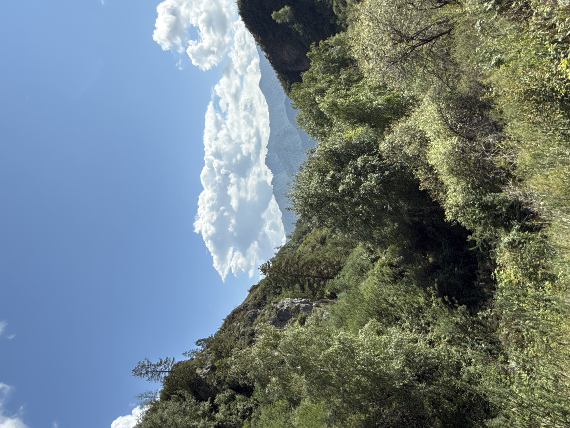 The image shows a view of a forested mountain landscape under a bright blue sky with scattered white clouds. The foreground is filled with lush green vegetation, including trees, bushes, and grass. The middle ground features a steep, rocky mountainside covered in trees, with a prominent rock face visible. In the background, rolling hills and distant mountains are shrouded in a light haze. The scene appears to be a natural landscape, likely in a mountainous or hilly region. This image depicts a scene in the vicinity of Chemal, Russia, known for its mountainous terrain and natural beauty.