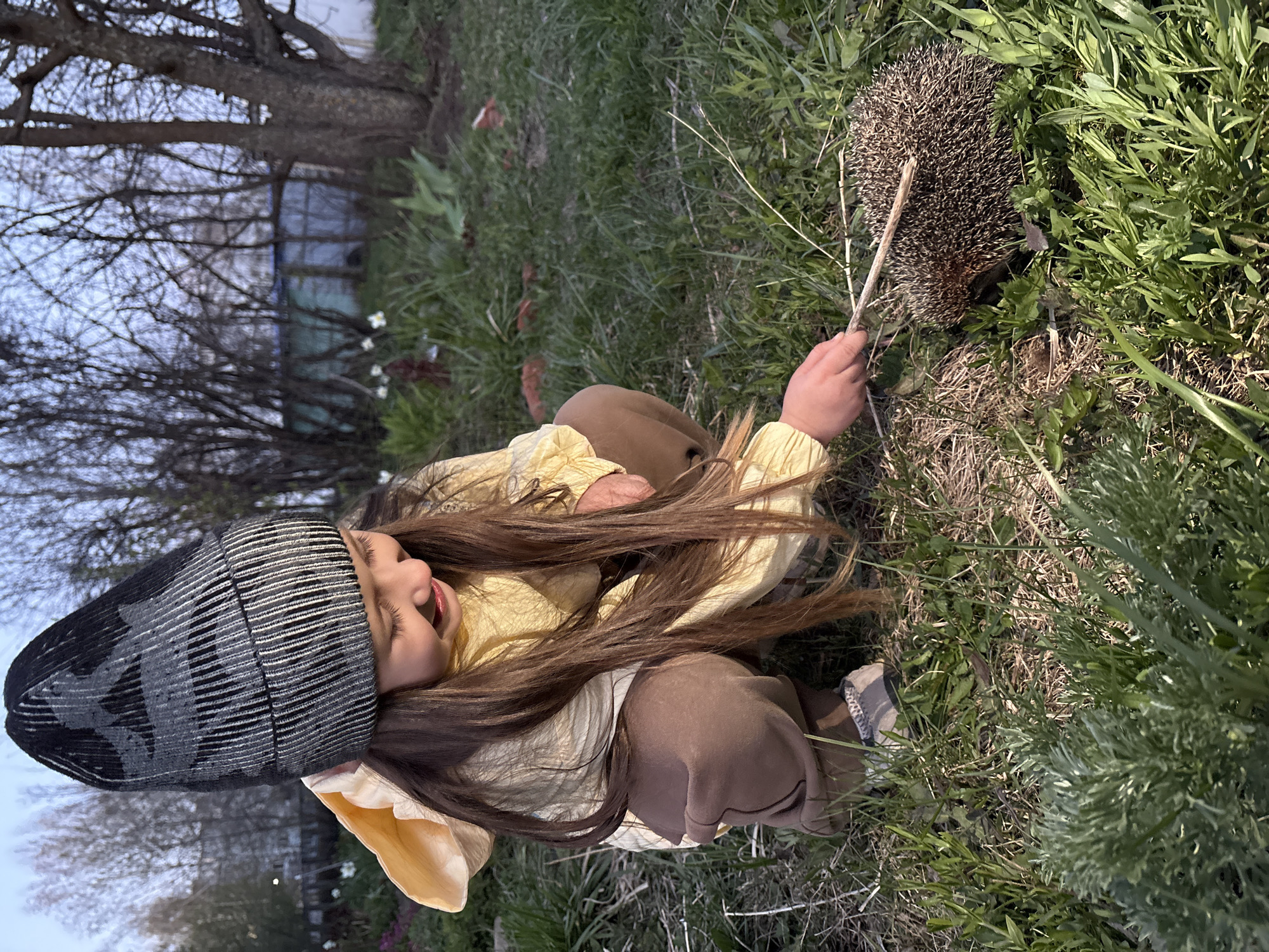 A young child wearing a black and grey beanie, a yellow shirt and brown pants crouches in a grassy area, facing a hedgehog. The child is holding a thin twig and appears to be gently poking the hedgehog with it. The background shows a fence, trees and other buildings, suggesting an urban or suburban environment in Chaikovsky, Russia.