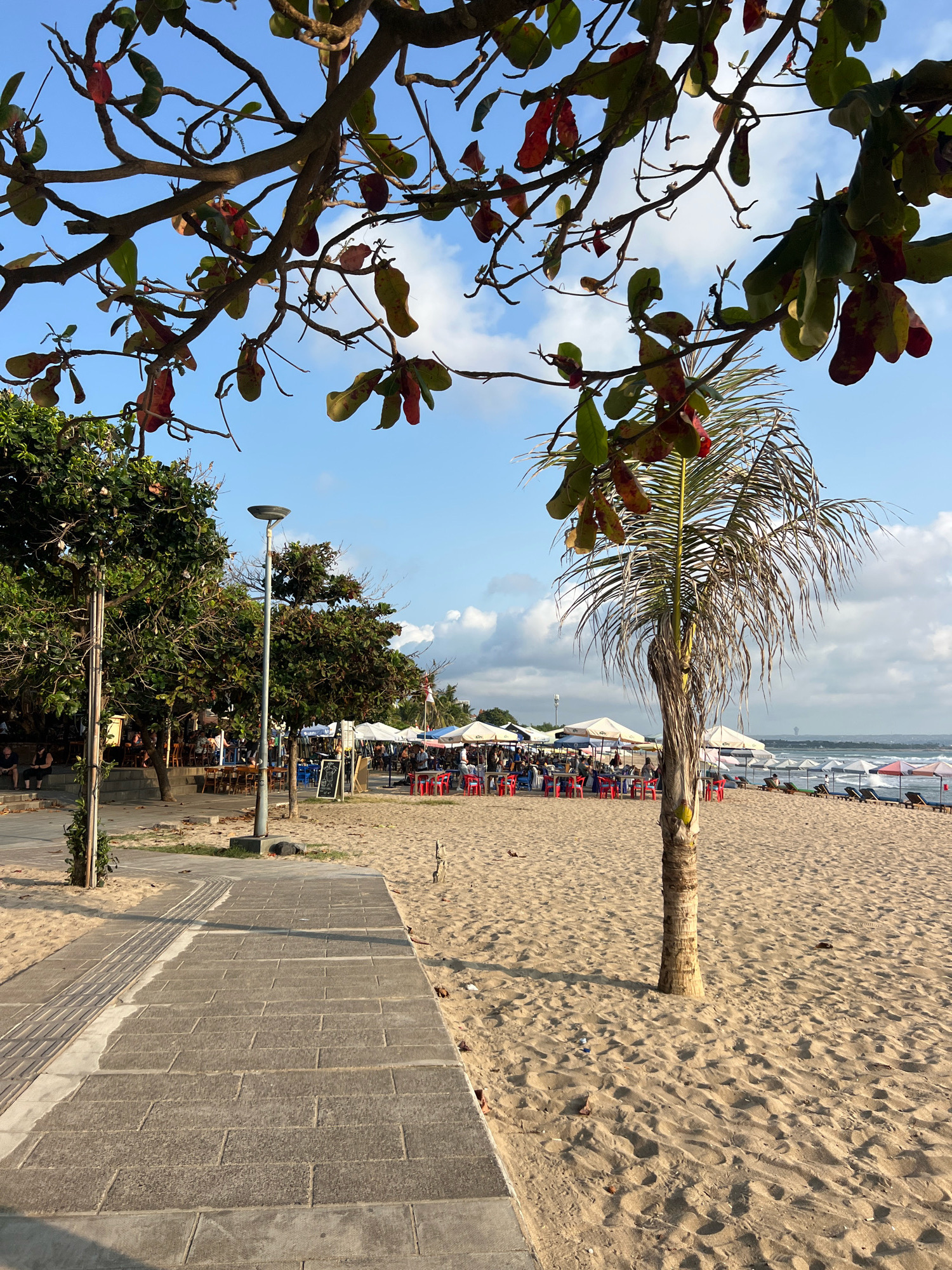 A beach scene in Kuta, Indonesia, is captured under a bright, cloudy sky. In the foreground, a stone pathway runs along the edge of a sandy beach. Partially obscuring the view are the branches of a tree with red and green leaves, silhouetted against the sky. To the left, a light pole stands near a cluster of trees with dense foliage, behind which a few individuals are seated on a raised area. The beach itself is dotted with numerous red chairs and white umbrellas, suggesting a lively dining or relaxation area. A single palm tree with dry fronds stands in the middle ground, its trunk a prominent feature against the sand. In the background, lounge chairs are arranged under umbrellas, and the ocean is visible in the distance, with a faint landmass on the horizon. The overall impression is that of a popular tourist destination.
