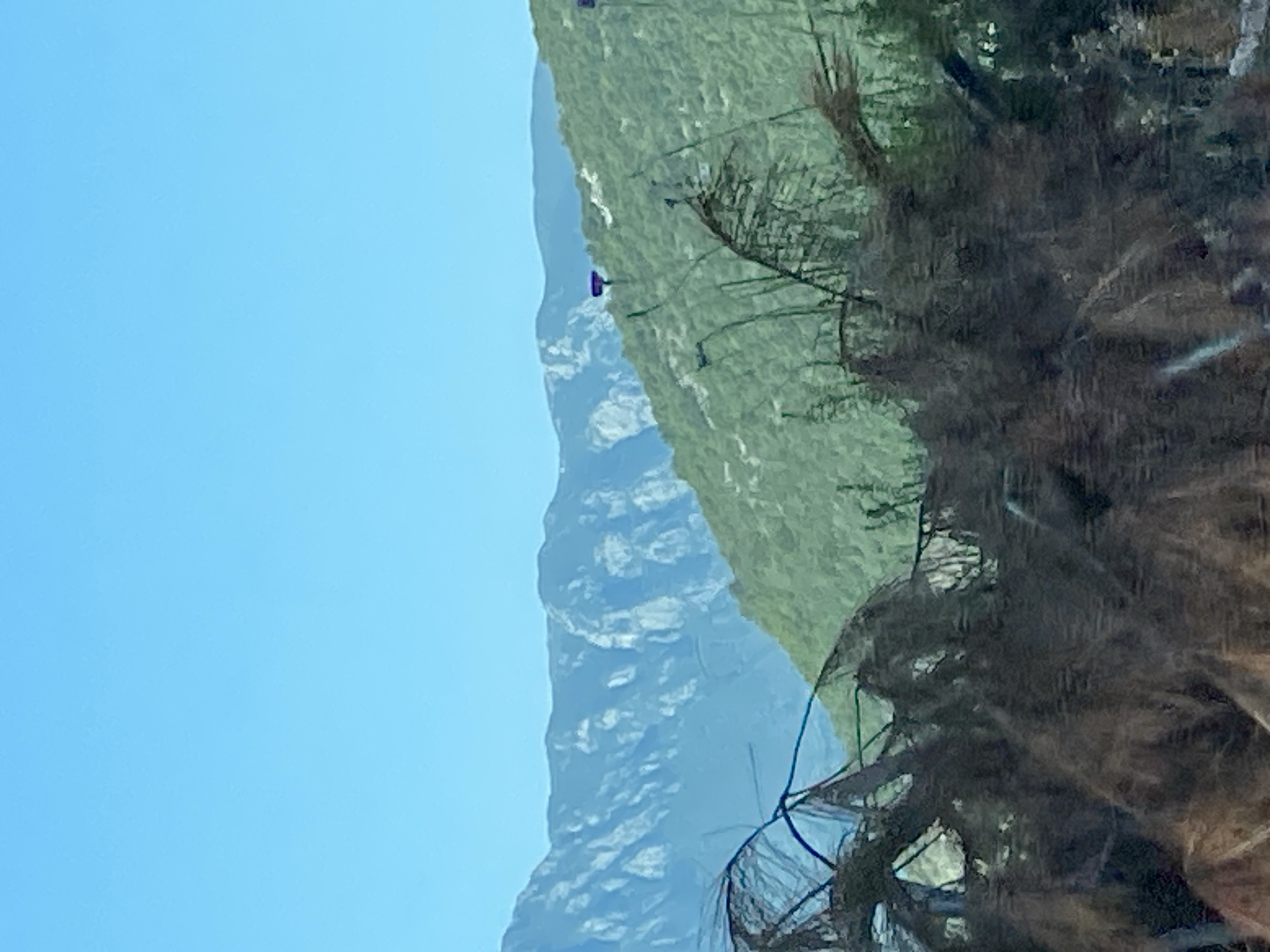 The image shows a mountainous landscape with a clear blue sky. In the foreground, there are dark, dried plants or branches, obscuring the lower part of the scene. Behind the foreground elements, a lush green mountainside slopes upwards. Further in the distance, majestic, rocky mountains rise, their peaks and ridges visible against the sky. A few small purple objects, possibly markers or flags, are visible on the green mountainside. The scene appears to be a natural outdoor environment, likely in a rural or mountainous region.