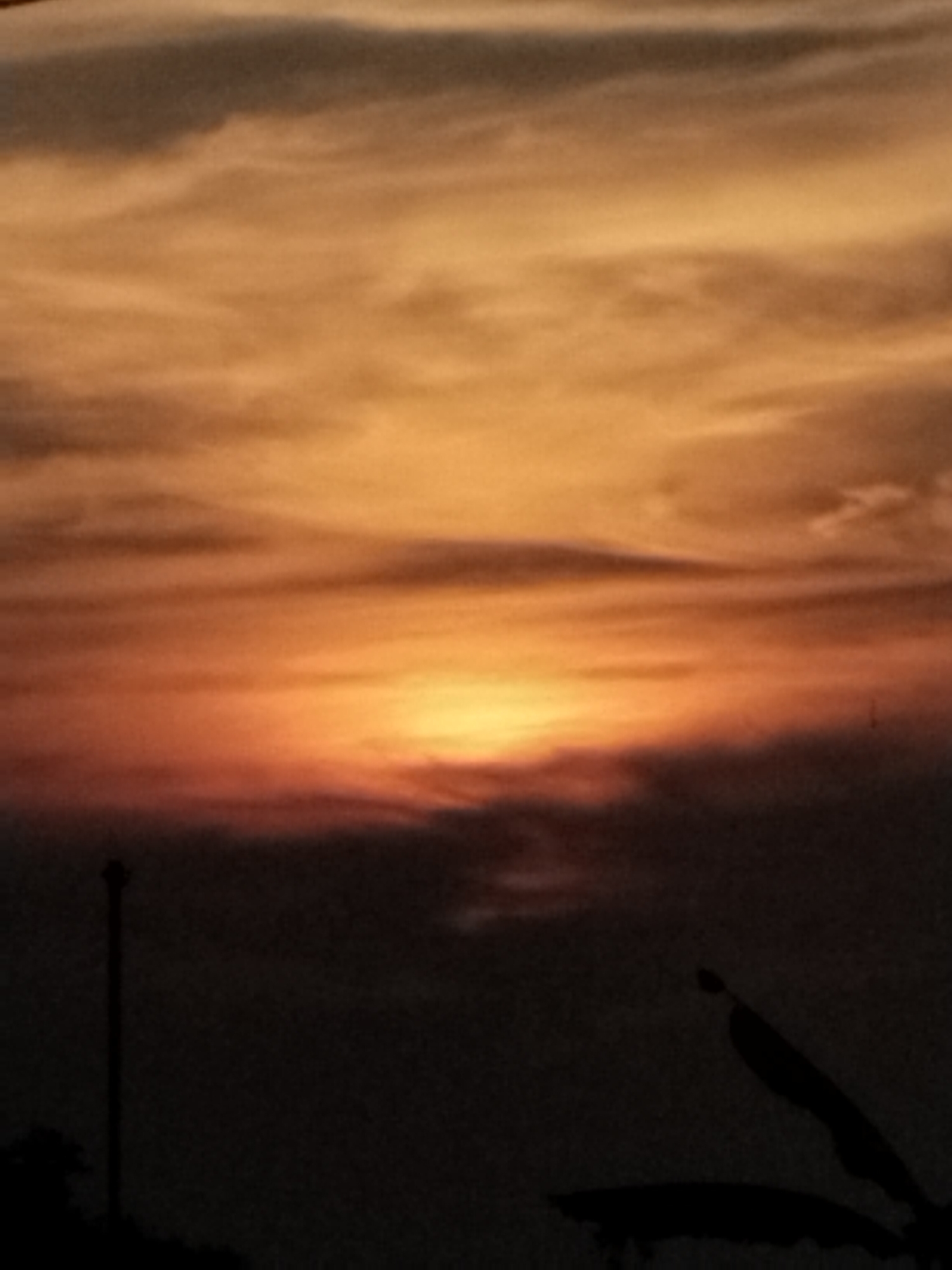 The image captures a sunset with dramatic orange and red hues in the sky. Wispy clouds stretch across the horizon, catching the light from the setting sun. The lower portion of the image is dominated by darkness, with silhouettes of what appear to be a utility pole on the left and some vegetation on the right. The overall impression is of twilight in an outdoor setting.
