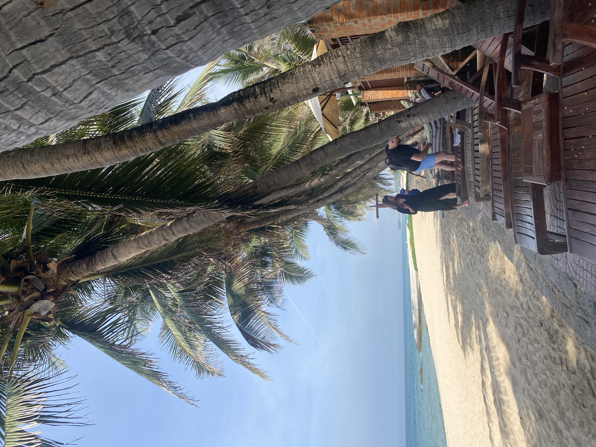 This image depicts a beach scene in Phu Thuy Ward, Vietnam, under a clear blue sky. Several palm trees with rough, textured bark dominate the foreground, casting shadows on the sandy beach. The ocean, with its gentle waves, meets the shore. In the middle ground, two individuals are visible on the beach. A woman in a black dress and red sandals stands to the left, holding a blue bag. A man wearing a black t-shirt and blue shorts is bending down near a row of empty wooden lounge chairs. These chairs are arranged on a paved area adjacent to the beach, with a brick building and a cream-colored umbrella visible behind them. The overall atmosphere is serene and tropical, with the natural elements of the beach and palm trees contrasted by the man-made structures and furniture.