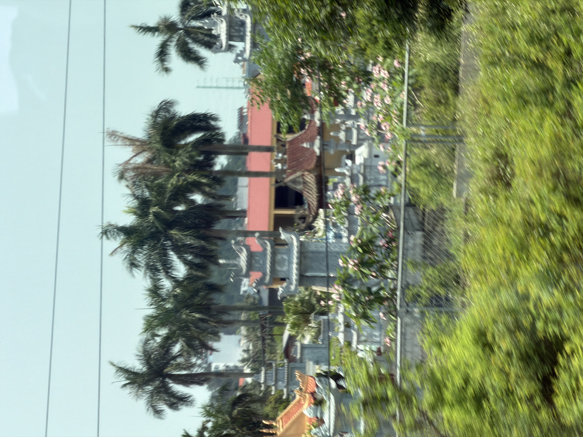 The image depicts a Vietnamese Buddhist temple in Hải Phòng, Vietnam. The temple complex features tiered pagoda-style roofs, a red-painted building, and is surrounded by palm trees and lush green foliage. A chain-link fence separates the temple grounds from a grassy area. Overhead power lines are visible against the sky.