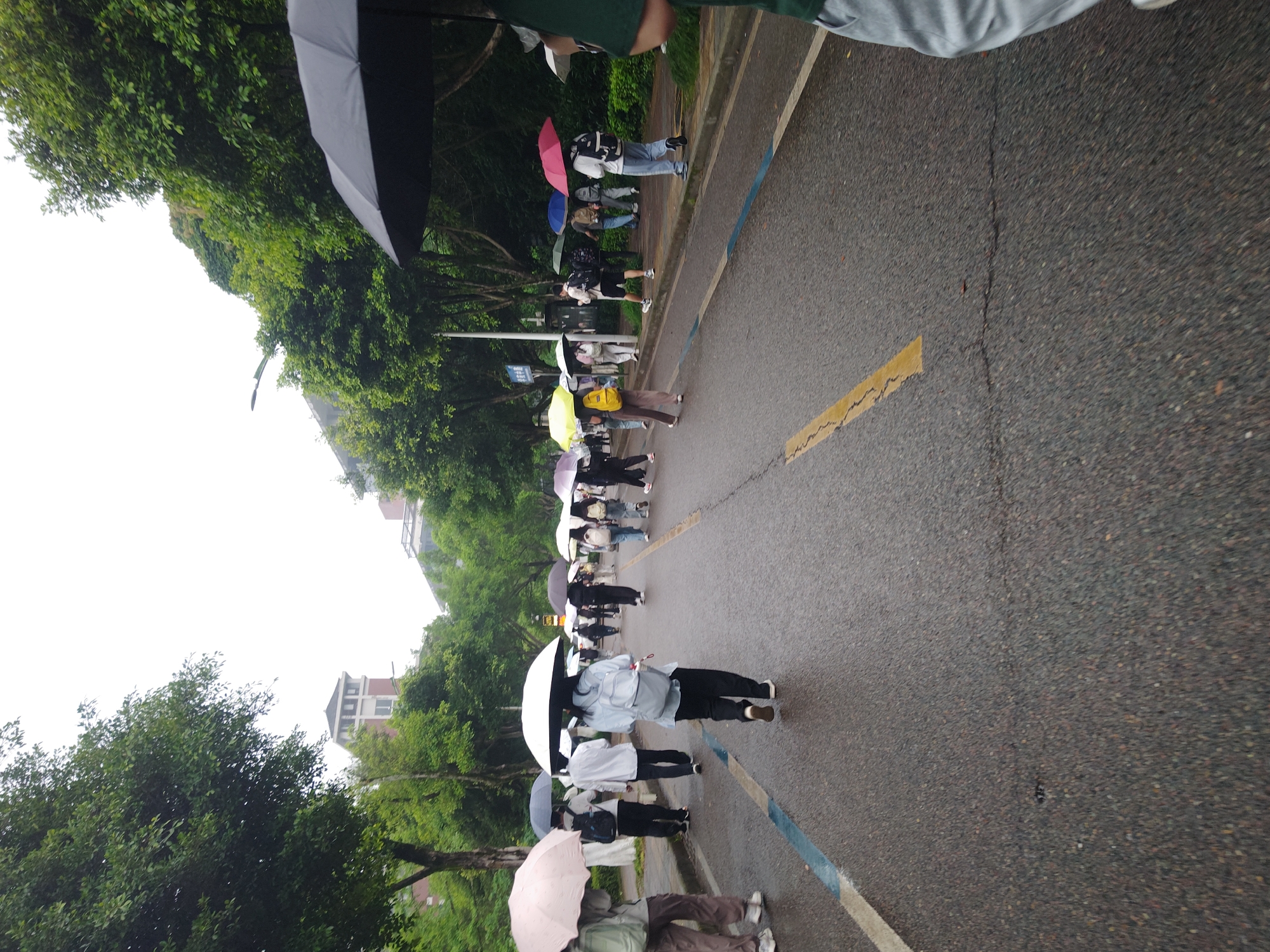 A group of people with umbrellas are walking on a road, presumably in the rain. The location is Chongqing High-tech Zone, China, as indicated by the surroundings and building architecture. The road has a yellow stripe and blue line markings. Trees line the side of the road.