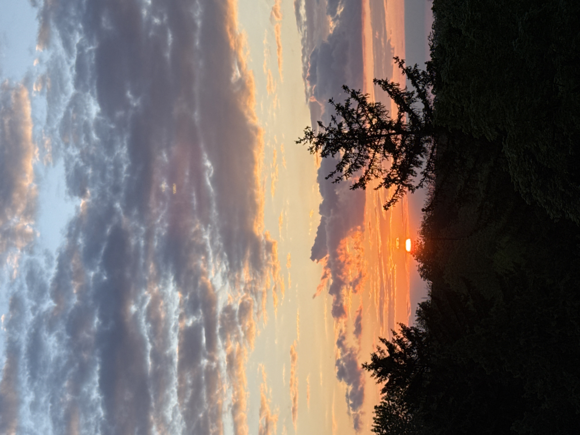 The image captures a sunset scene, likely in Pleven, Bulgaria, though specific city details are not evident. The focus is on the sky, which displays a gradient of colors from gray-blue to orange-red. Cumulus clouds are visible, illuminated by the setting sun. Silhouetted trees partially obscure the sun on the right, adding depth and contrast to the image. No people, subjects, objects, actions, or interactions are visible. The environment is natural, with the trees and sky as the primary elements.