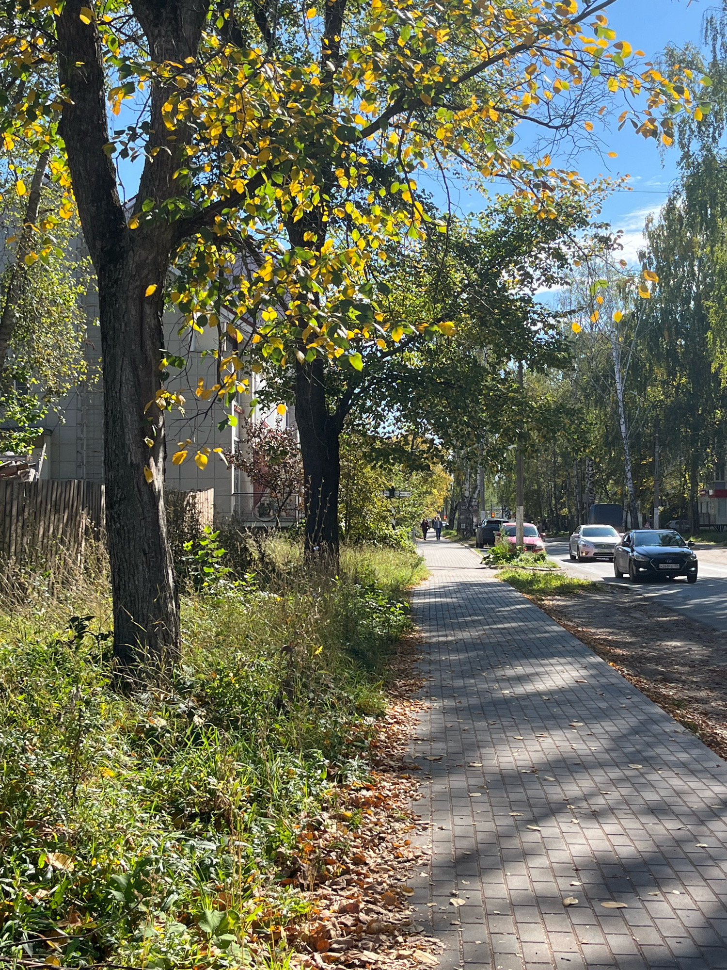 The image depicts a sunlit autumn scene on a sidewalk in Chaikovsky, Russia. The sidewalk is paved with grey rectangular bricks and is lined with trees displaying yellowing leaves, characteristic of the fall season. Fallen leaves are scattered on the sidewalk and the grassy verge beside it. On the left side of the sidewalk, there is dense green grass and foliage, with the trunks of large trees dominating the foreground. A wooden fence and the side of a building are visible behind the foliage. On the right side of the sidewalk, a paved road runs parallel, with several cars driving on it. The sky above is blue with scattered white clouds. Several pedestrians can be seen walking on the sidewalk further down the street. The overall atmosphere is that of a calm, ordinary day in a residential or suburban area.