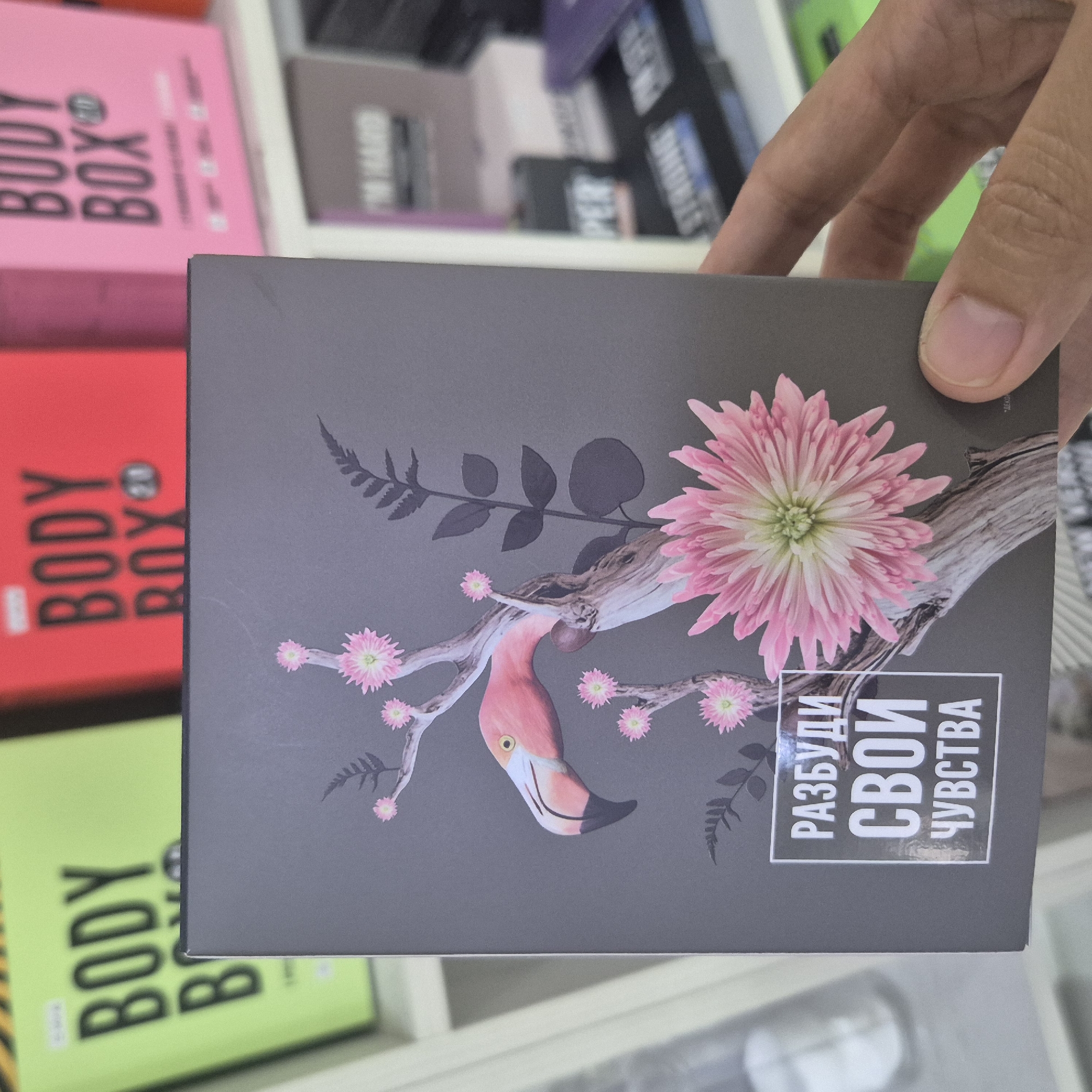 The image shows a close-up of a grey box with a stylized illustration of a flamingo and pink flowers on a branch. The text on the box is in Russian and reads "РАЗБУДИ СВОИ ЧУВСТВА" which translates to "Awaken Your Feelings." In the background, out of focus, are several brightly colored boxes, some with the text "BODY BOX" visible. The environment appears to be a retail setting, possibly a store shelf. There is a hand visible on the right side of the image, obscuring a portion of the box. The city of Kokshetau, Kazakhstan is not visible or referenced in the image.