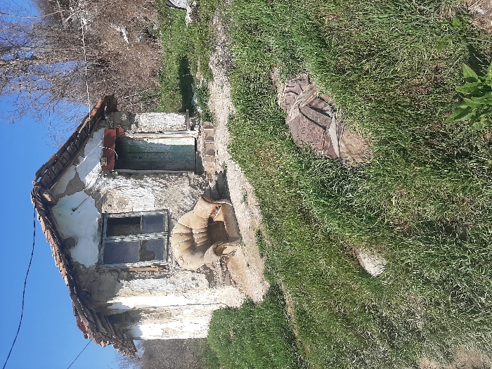 The scene is an exterior view of a dilapidated, single-story structure in what is reported to be the city of Ivanski, Bulgaria. The building, constructed from stone or mud covered in peeling, whitewashed stucco, features a damaged tile roof with exposed wooden beams. A multi-paned window with broken glass and a weathered frame is visible on the left side of the facade. To the right, a weathered, faded green door is set into the wall, accessed by two small, rough steps. Directly in front of the house and slightly to the left, a heavily worn, tan or beige upholstered armchair with a high back rests on the bare ground. The immediate foreground and surrounding area are characterized by unkempt green grass mixed with patches of exposed dirt. Further down the grassy slope, to the right and partially obscured by vegetation, lies an indeterminate object, possibly a weathered tire or fabric, showing patterned sections. In the background, beyond the house and rising terrain, are bare trees and dry brush against a clear blue sky. No individuals, direct actions, or interactions are visible. Overhead, thin wires stretch across the frame, connecting to an unseen point.