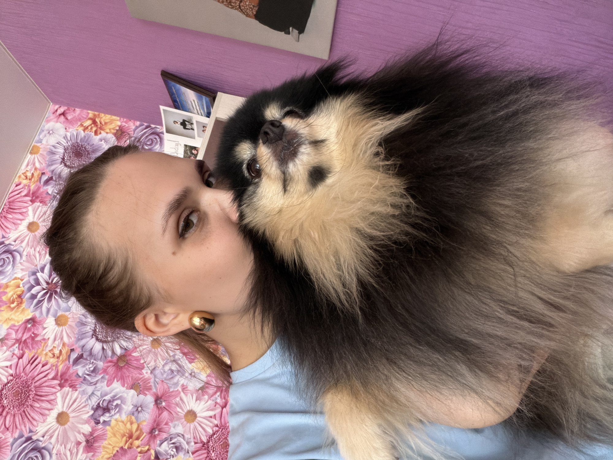 The image depicts an indoor scene in Chaikovsky, Russia, featuring a female holding a Pomeranian dog. The female, positioned on the left, has light brown hair pulled back and wears a large, round gold-colored stud earring on her visible right ear. Her right eye, marked with eyeliner, is directed towards the viewer. She wears a light blue t-shirt and cradles a black and tan Pomeranian dog, which is looking upwards and slightly to the right. The dog displays primarily black fur with distinct tan markings on its chest, face, and underside. The background features a left wall adorned with floral wallpaper displaying pink, purple, orange, and white flowers. This transitions into a solid purple wall on the right. A narrow white ceiling strip with cornice molding is visible at the top where the walls meet. On the purple wall, a white shelf displays several small framed items, including a picture of a person in a pose and another with partial text. A large, partially visible abstract artwork in shades of orange and brown hangs on the purple wall to the right of the shelf.
