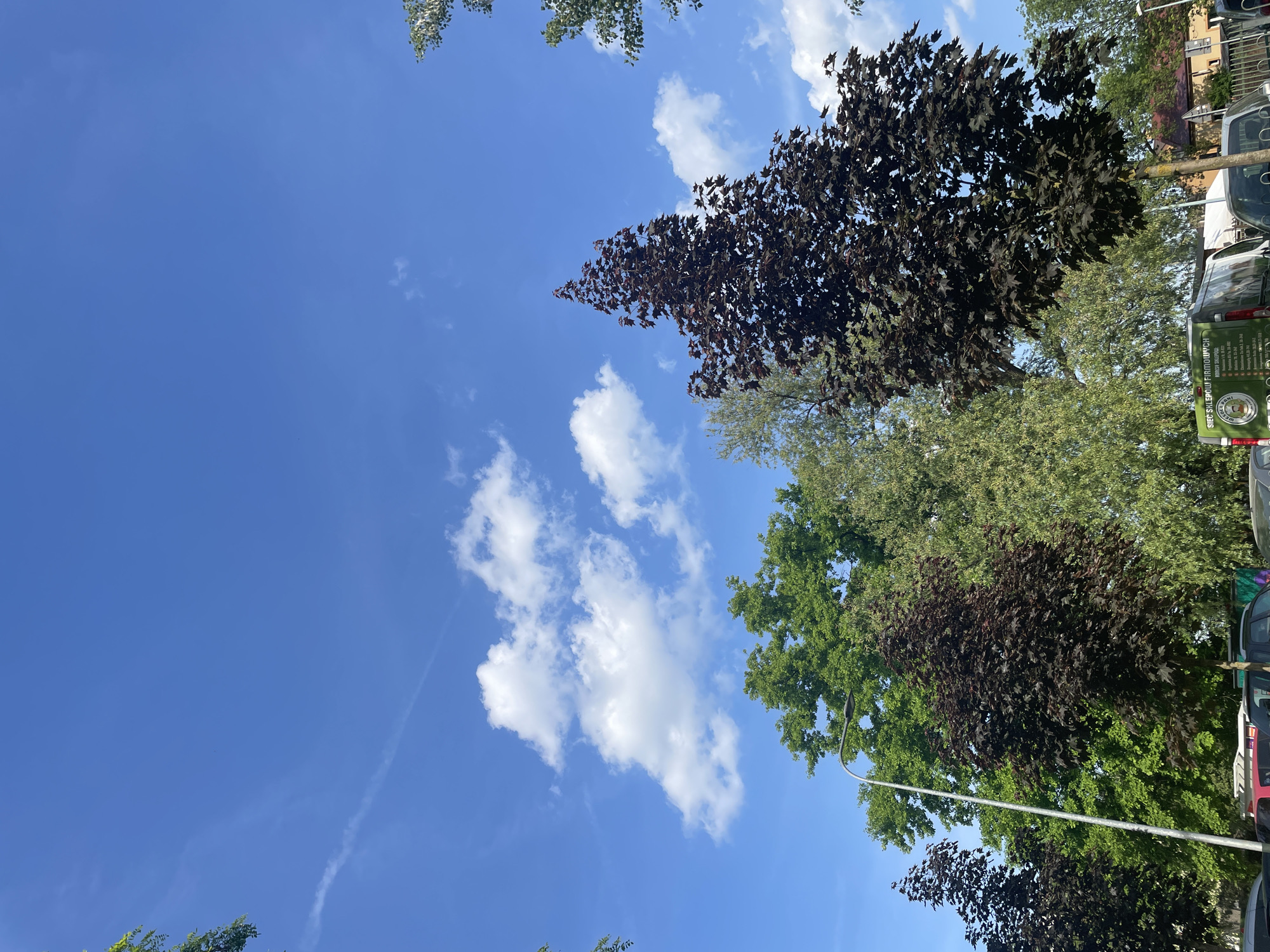 The image, taken from a low angle, shows a view of the sky with various elements in the foreground. The sky is predominantly blue with scattered white clouds. The foreground includes multiple trees with varying foliage colors, ranging from green to reddish-brown. A street light pole is visible among the trees. Parked vehicles can be seen on the right side of the frame. Text is visible on one of the vehicles. The location is an urban environment. The precise location is not determinable from the image.