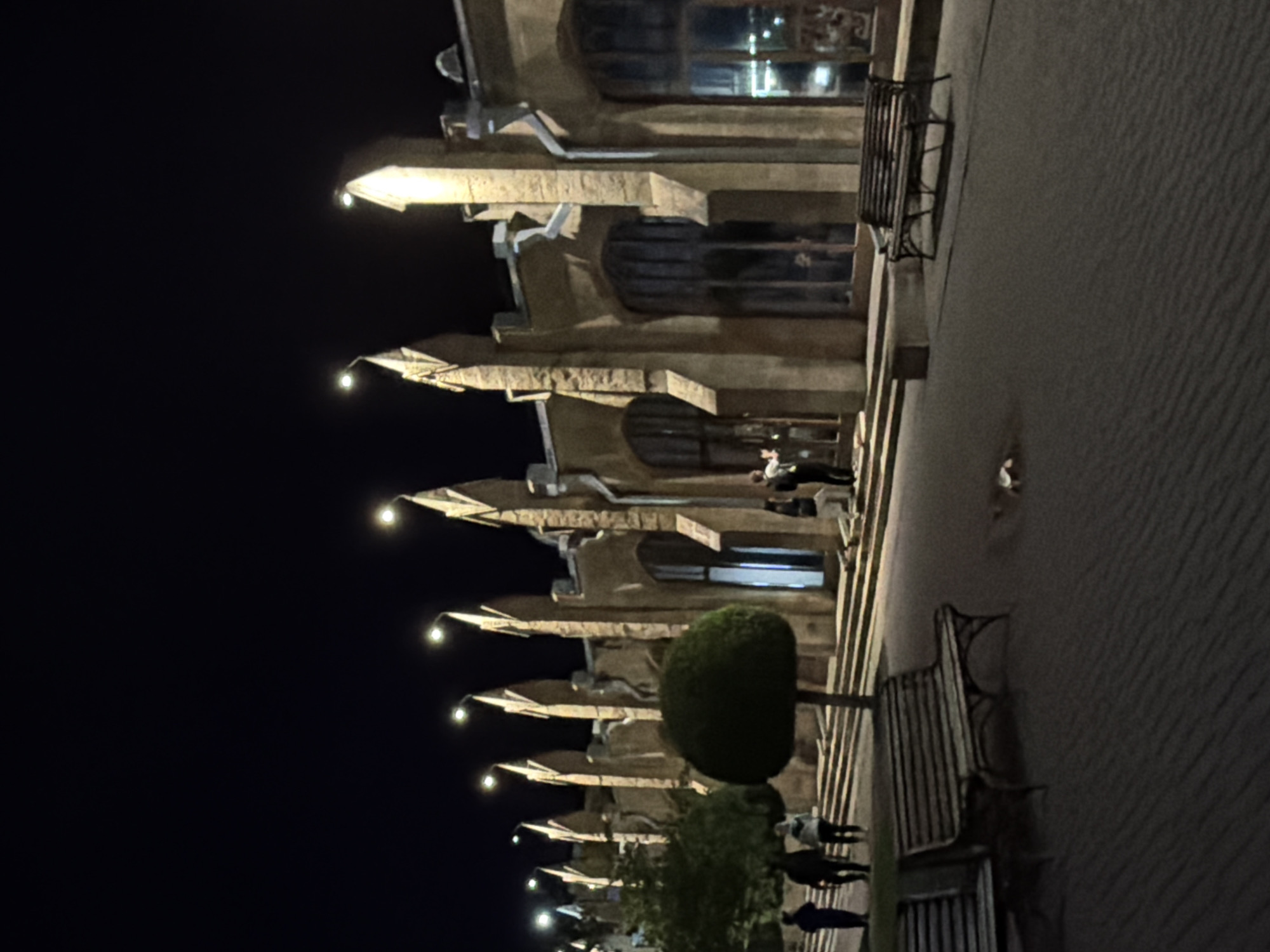 The image captures a nighttime scene in Kislovodsk, Russia, specifically the area near the Narzan Gallery. The architecture is distinctive, featuring tall, pointed structures resembling spires or Gothic elements, with ornate detailing and large windows. The building is illuminated by overhead lights, creating a warm glow against the dark night sky. In the foreground, there is a paved pathway with several benches, suggesting a public space for relaxation or observation. The pathway has a textured surface, possibly sand or a similar material, with distinct wavy patterns.
Several individuals are visible in the image, appearing as silhouettes or softly lit figures due to the low light conditions. On the left side, a small group of people is walking away from the camera. Further to the right, near the entrance of the building, a few people are standing, possibly interacting or observing the surroundings. One person is seen standing on the steps leading to the building. A lone, neatly trimmed, round tree stands prominently in the mid-ground, adding a touch of nature to the man-made environment. The overall atmosphere is serene and somewhat dramatic, with the illuminated architecture dominating the scene.