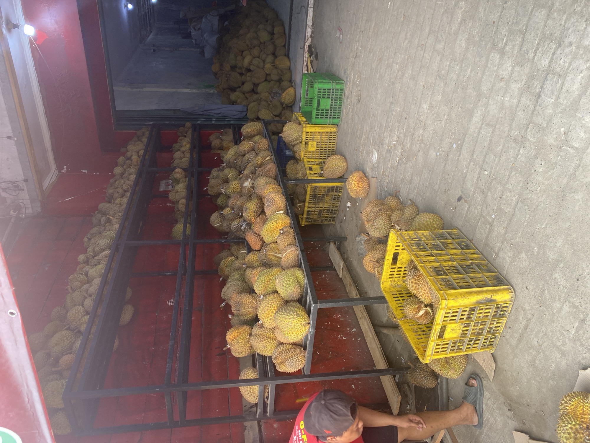 The image shows a street-level view of a durian fruit stand in Depok, Indonesia. A person wearing a red shirt and black cap is bending down, possibly tending to the fruit. Numerous durian fruits are displayed on metal shelves and in yellow and green plastic crates. In the background, a large pile of durians is visible within a covered area, suggesting a storage or further processing space. The environment appears to be an open-air market or roadside stall, with a concrete floor and a red-painted wall. The lighting suggests it is daytime, with some artificial light sources also visible indoors.