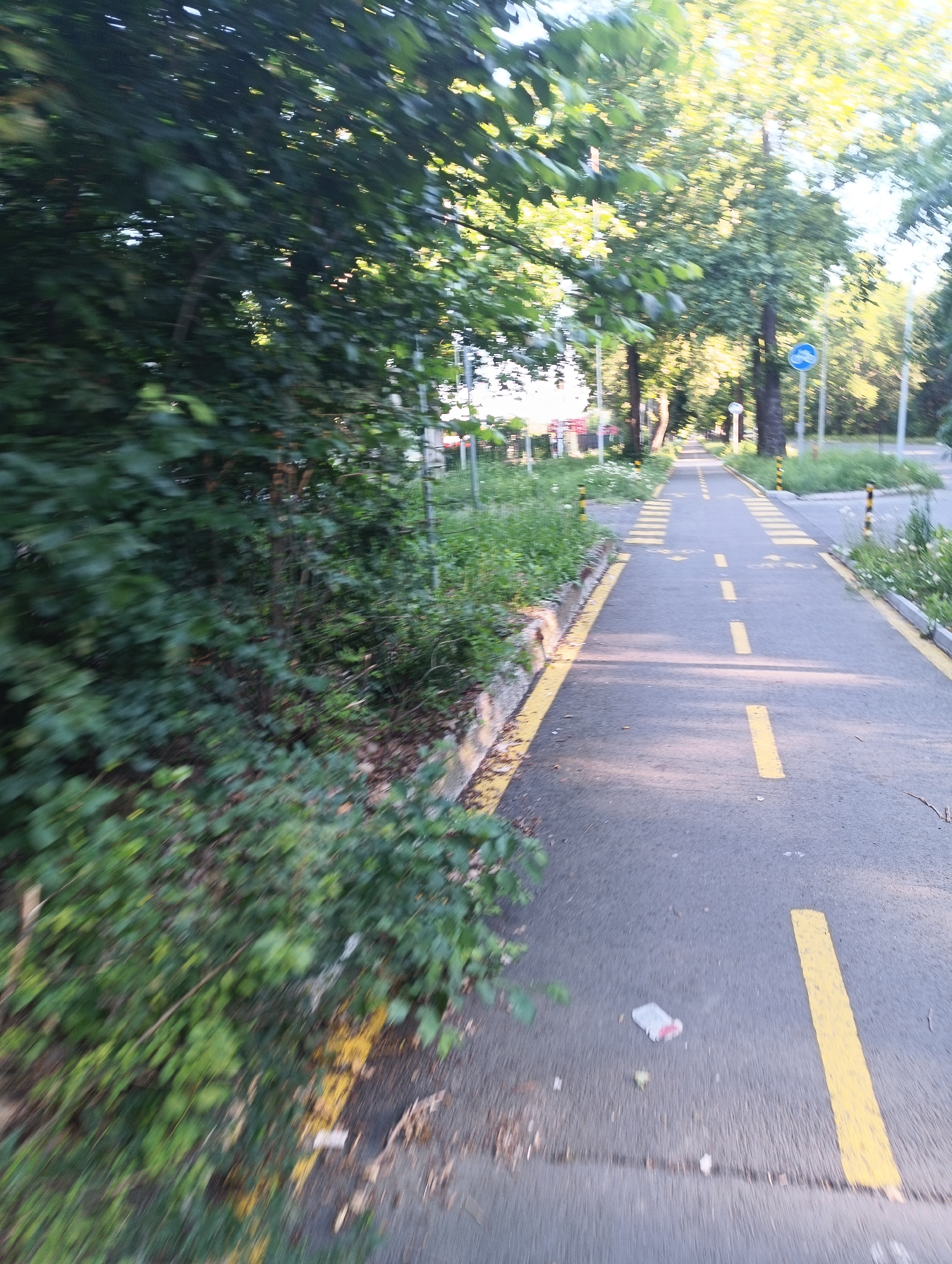 The image depicts a bike path with yellow markings, situated alongside a lush green area with trees and vegetation. The path appears to be in a park or a natural setting within a city. In the background, there are trees lining the path, creating a scenic backdrop. There are no visible people or animals in the image. The overall impression is one of a serene and natural environment.