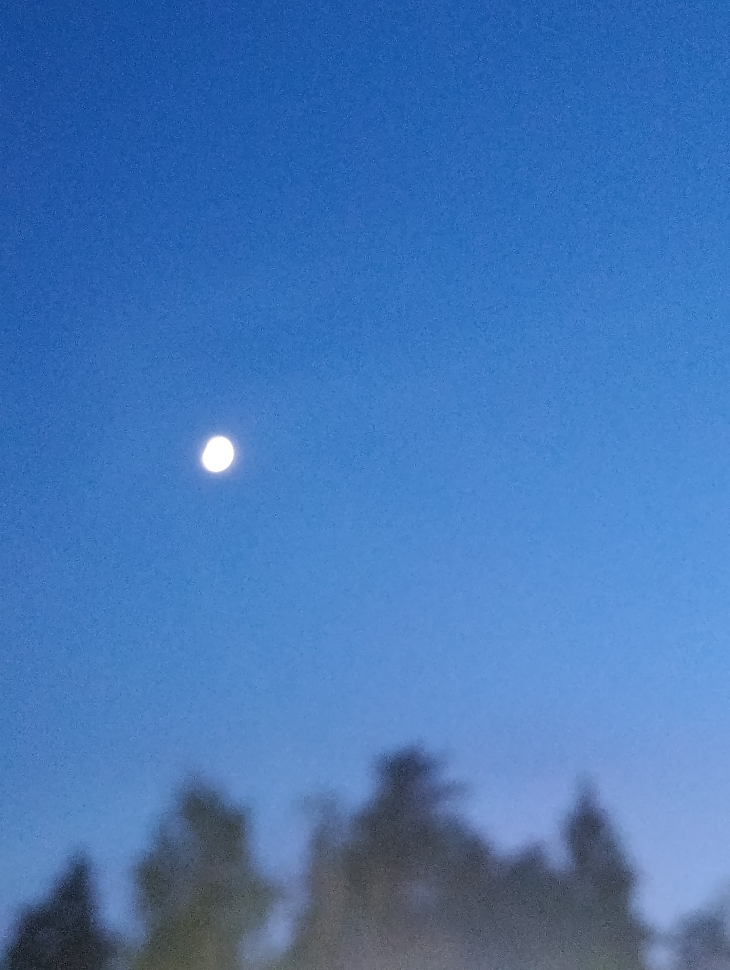 A partially illuminated moon is visible in a blue sky. Trees are silhouetted in the foreground. The location is Unknown, Unknown.
