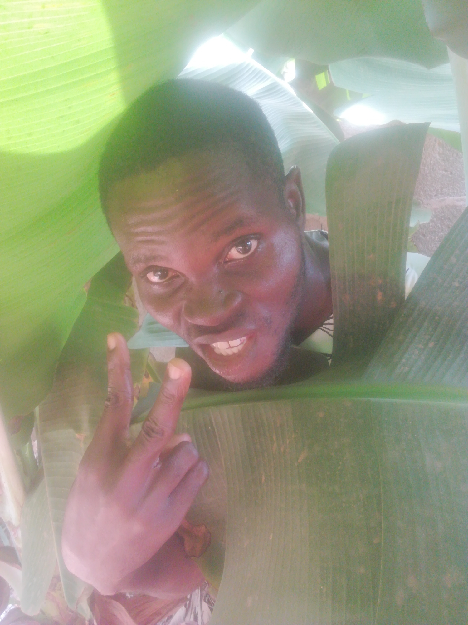 A man with dark skin and short hair is seen from a low angle, positioned amidst large green banana leaves, making the "peace" hand gesture. The location is Unknown, Unknown.