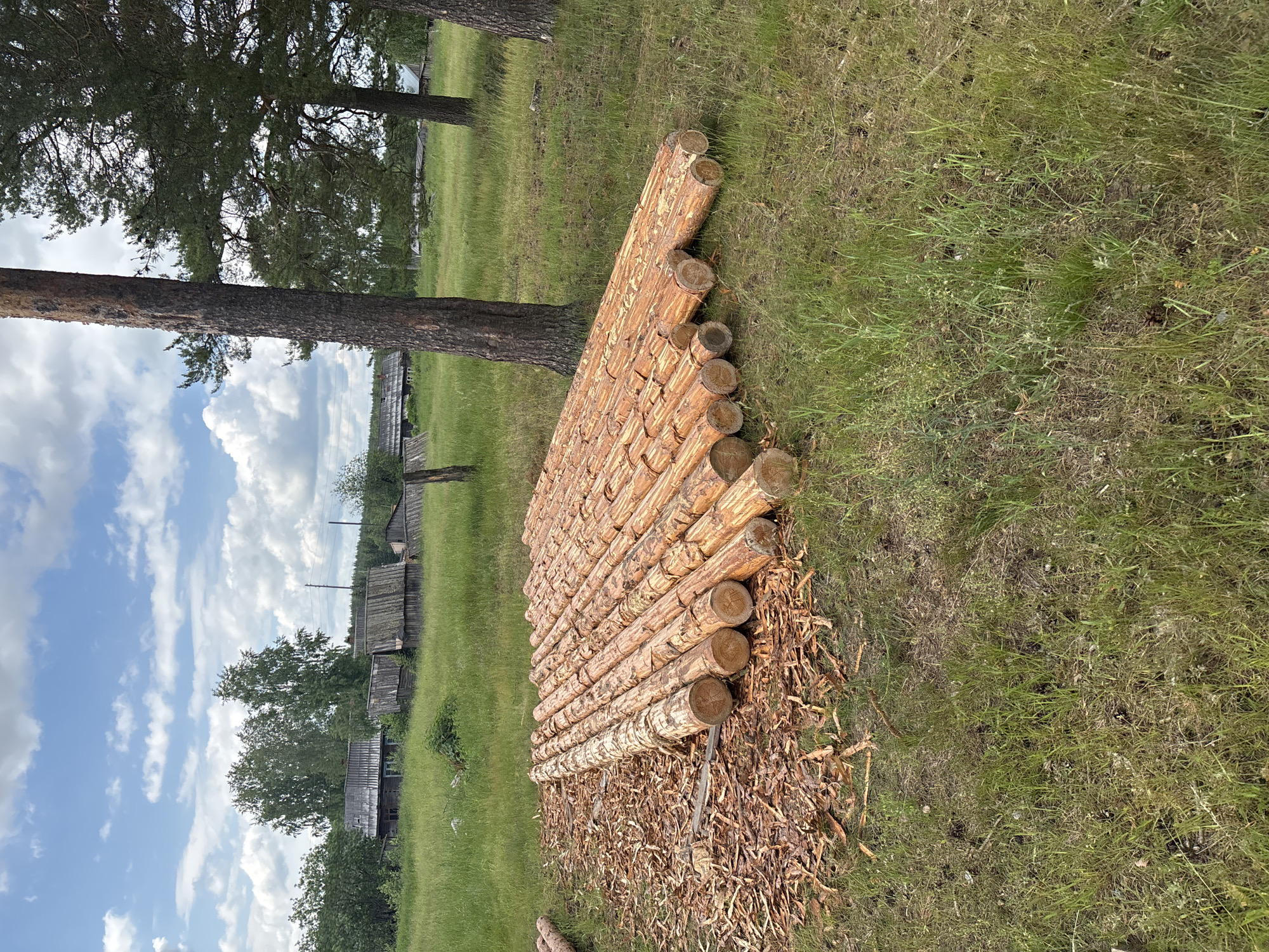 The image depicts a pile of roughly hewn logs in a grassy field, with several rustic wooden structures visible in the background. The logs are laid out in neat rows, with some wood shavings scattered around them. The environment suggests a rural or semi-rural setting, possibly in the city of Kurgan, Russia, given the architectural style of the buildings and the type of vegetation. The sky is partly cloudy, indicating fair weather. There are no people visible in the image.