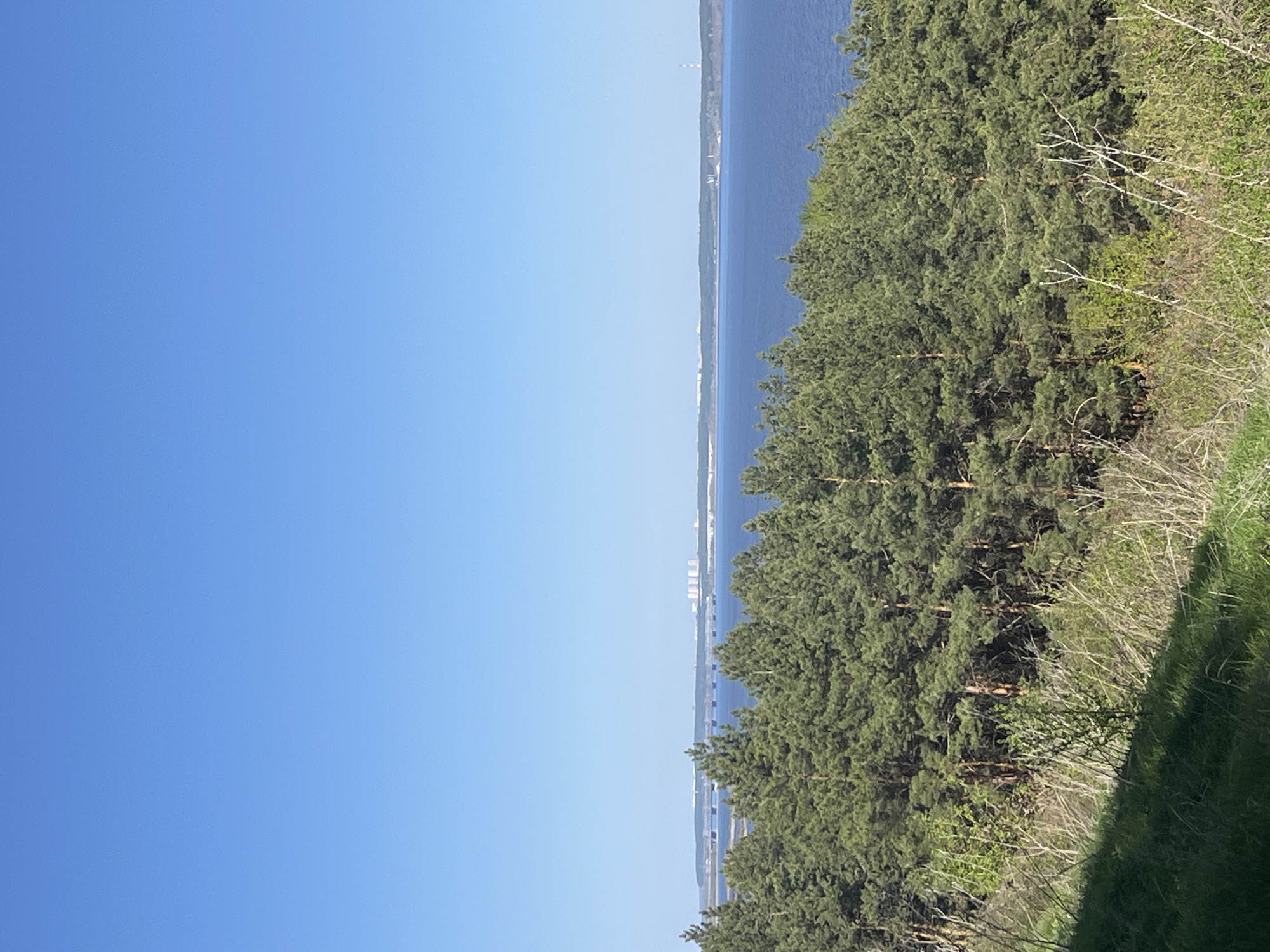 The image shows a view in Ulyanovsk, Russia, with a clear blue sky taking up the majority of the left side of the frame. To the right, a body of water stretches into the distance, with a faint skyline of the city visible along the opposite shore. Lush green trees and foliage cover the foreground on the right, obscuring the ground below. A shadow is visible in the lower right corner. The overall impression is that the photo was taken from a high vantage point, overlooking a river or large body of water with the city in the background.