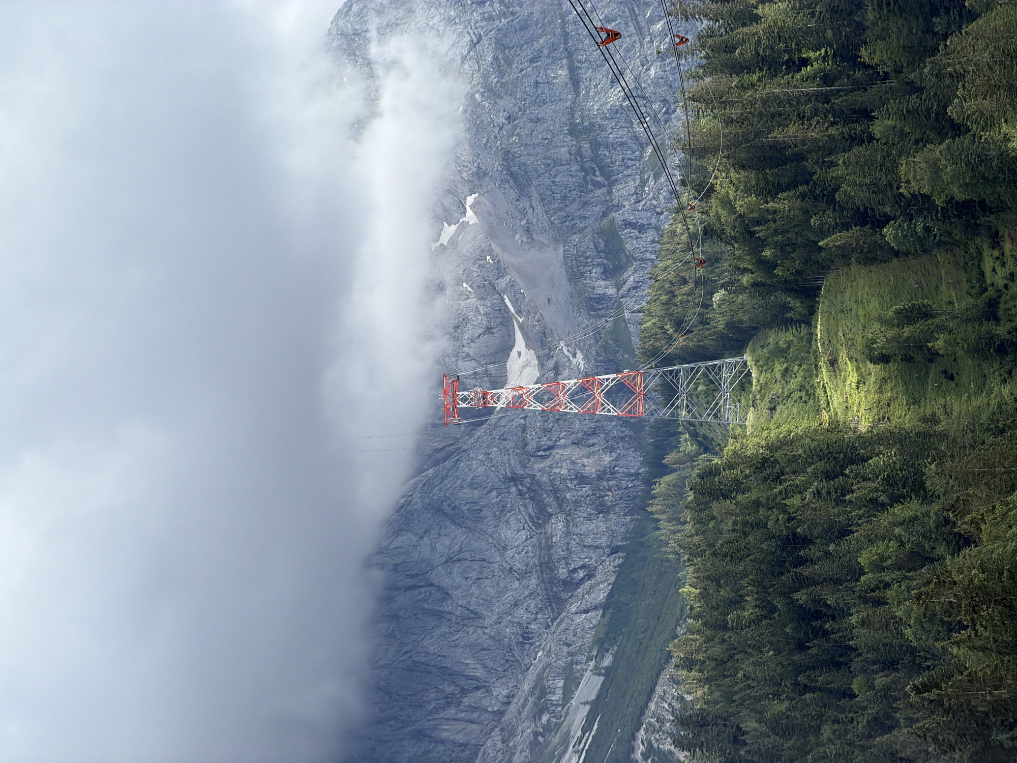 In Grainau, Germany, a towering red and white lattice structure, possibly a ski lift support tower, stands prominently on a grassy incline dotted with pine trees. The tower is situated in front of a vast, craggy mountain range partially obscured by heavy clouds. Several cables, presumably part of a cable car system, stretch across the frame, with red grippers visible on them. The lower half of the image is dominated by a dense forest of dark green pine trees, transitioning to a lighter green grassy slope leading up to the tower. The overall atmosphere is one of rugged, natural beauty enhanced by man-made structures.