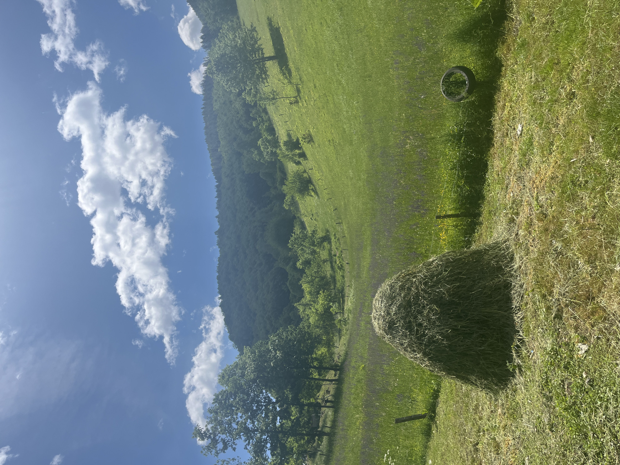 The image depicts a rural scene near Kaludra, Montenegro. In the foreground, a hay bale sits on a grassy field dotted with wildflowers. A weathered wooden post is visible nearby. Further into the field, a black rubber ring lies on the grass. The background features a lush green hillside covered with trees and vegetation, transitioning into a blue sky with scattered white clouds.