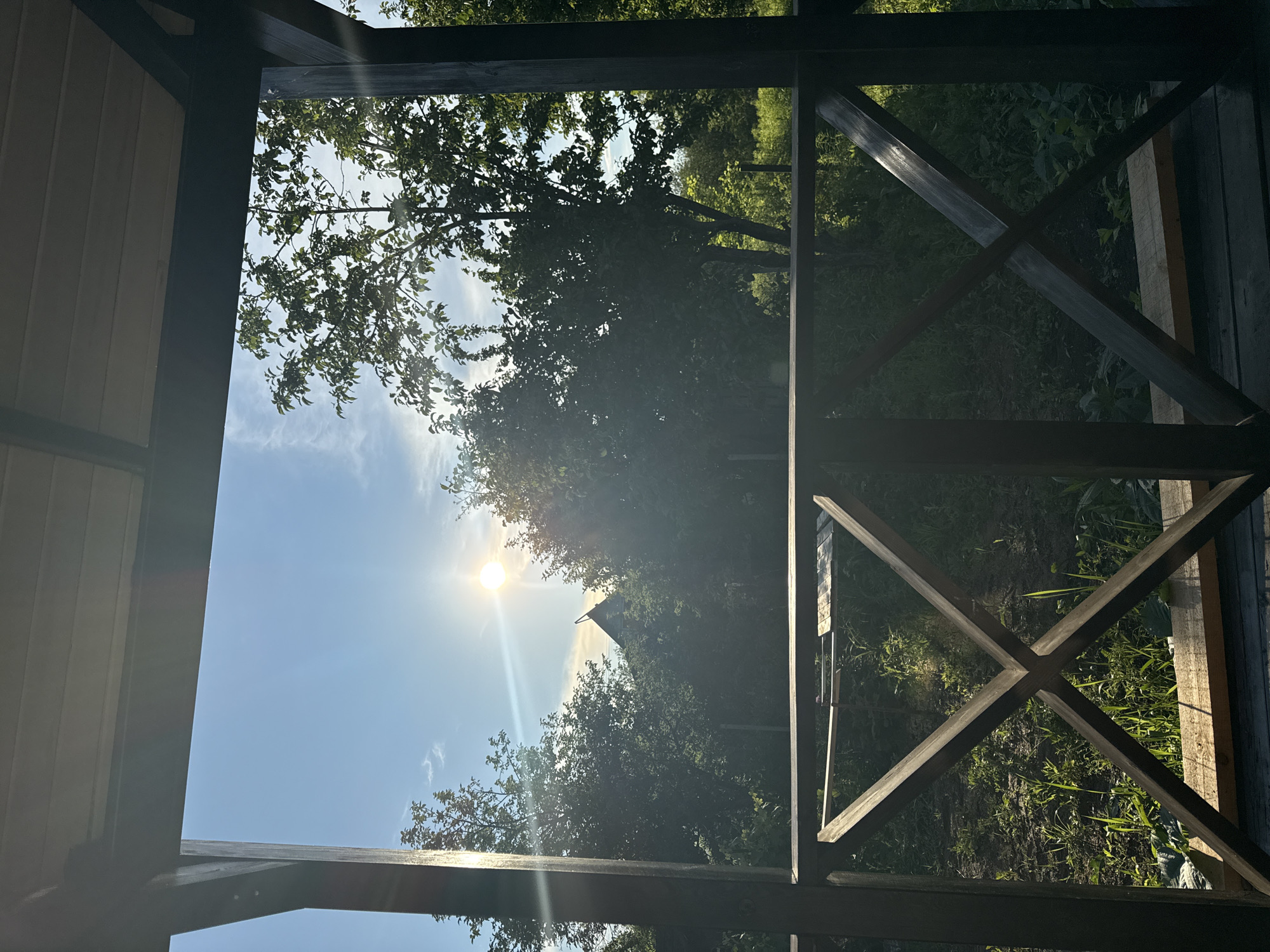 This image captures a view from within a wooden porch structure looking out onto a sunlit, verdant landscape. The foreground is dominated by the dark wooden railing of the porch, featuring a crisscross design. Beyond the railing, the scene opens up to a bright blue sky with a few wispy clouds. The sun is visible, casting a strong glare and lens flare across the upper portion of the image. A silhouette of a building with a pointed roof is faintly visible amidst the trees in the mid-ground. Lush green trees and foliage fill the scene, with sunlight filtering through the leaves. The ground appears to be covered in grass and dirt, with some scattered debris. The overall impression is one of a peaceful, rural setting on a sunny day.