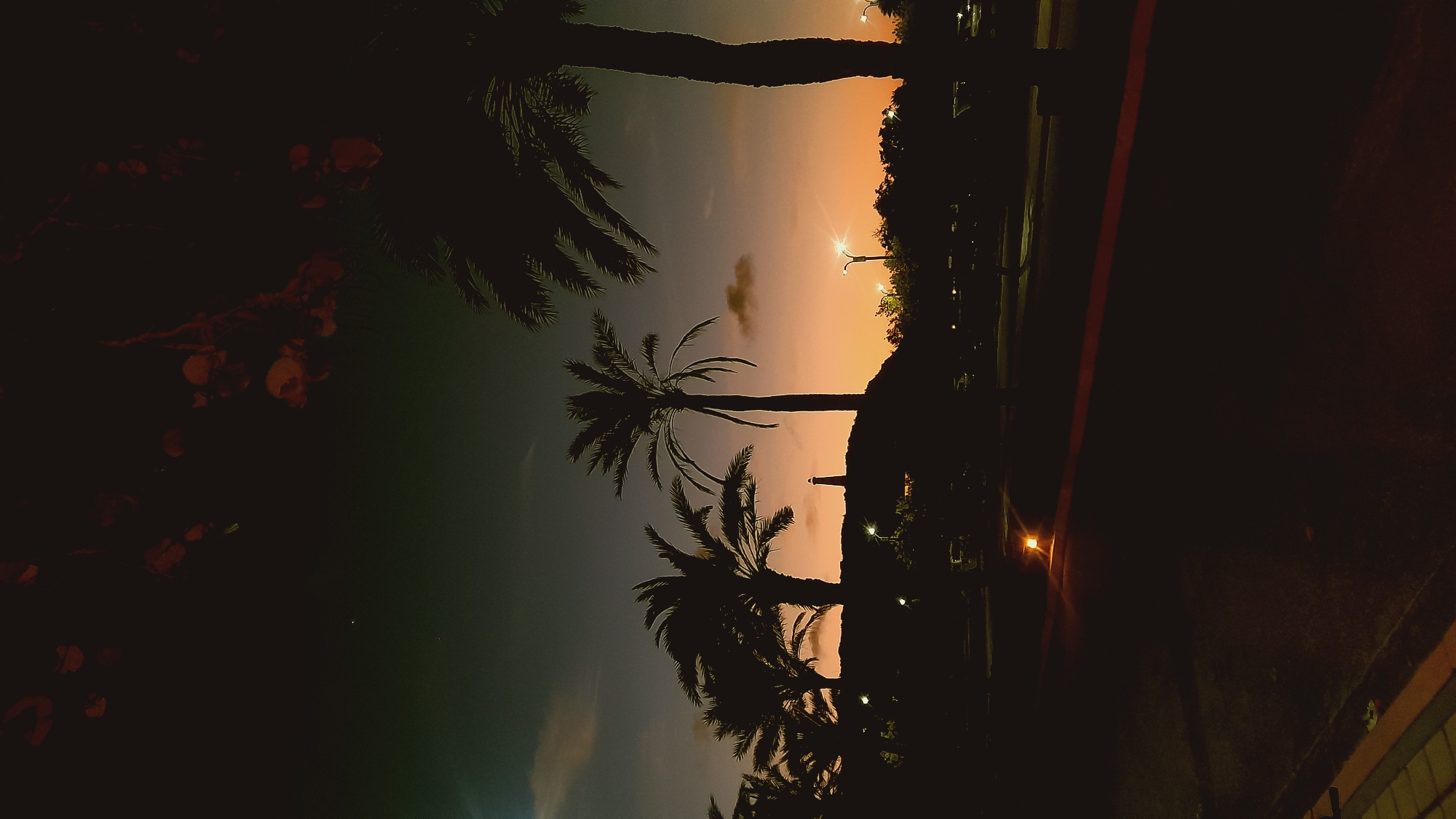 The image depicts a dimly lit outdoor scene at dusk or night, featuring silhouetted palm trees against a gradient sky transitioning from dark teal at the top to a warm orange and yellow near the horizon. In the distance, atop a dark hill, a small lighthouse is visible. The foreground shows a dark, paved area, possibly a road or parking lot, with a small orange light fixture illuminating a section of the ground. The overall atmosphere is serene and somewhat melancholic. The location is identified as Pedro González, Venezuela.