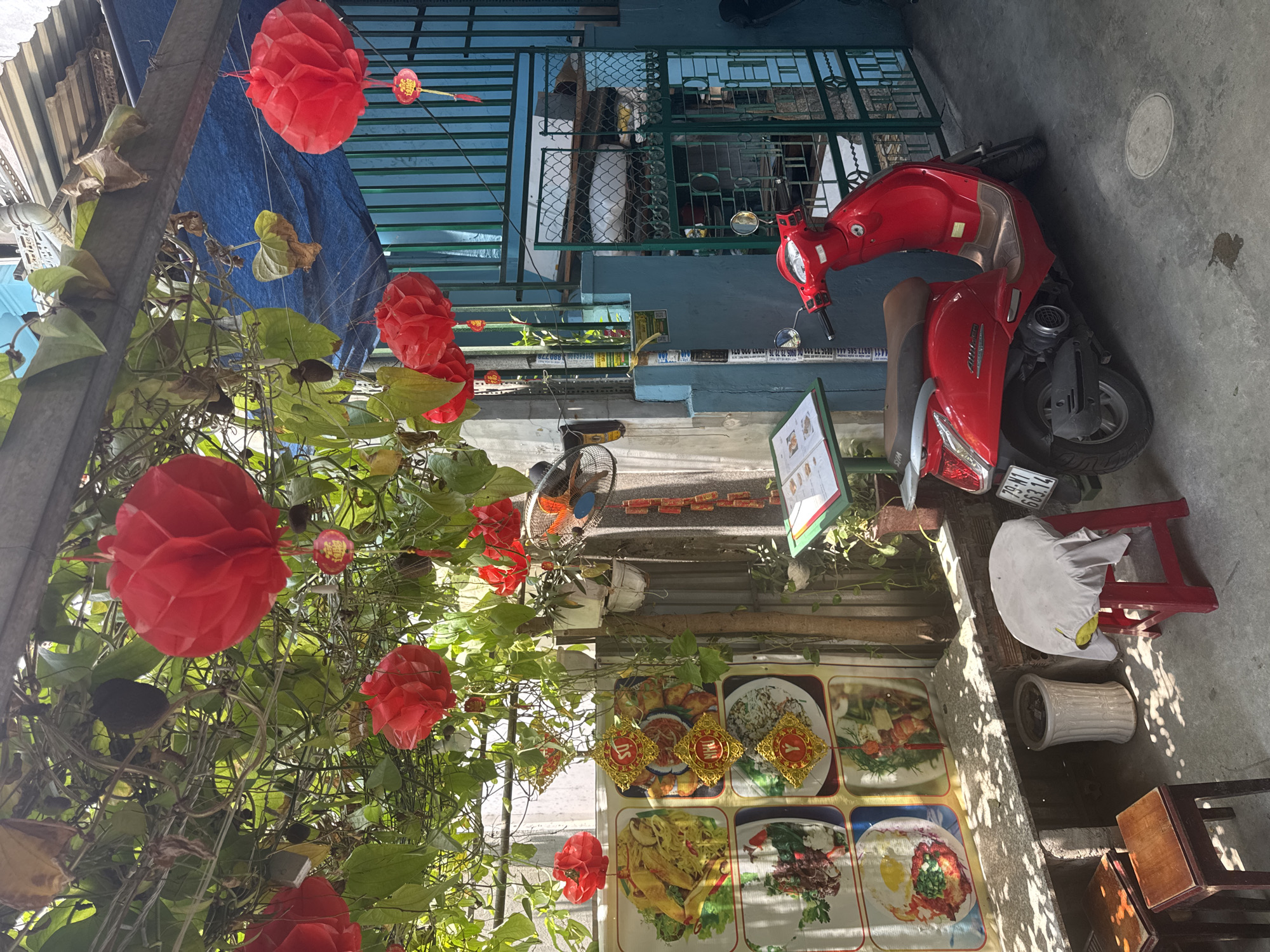 An outdoor scene captures a vibrant, sunlit street-side setting, likely an eatery or shop entrance, characterized by a mix of green foliage and red decorations. The image is filled with various objects, suggesting a lived-in, bustling environment.
In the foreground, an abundance of green leafy vines and plants hangs, creating a natural canopy. Interspersed among the foliage are numerous red paper lanterns, some round and honeycomb-shaped, others smaller and cylindrical, many adorned with small red charms bearing the Chinese character "福" (fú), signifying good fortune. A metal support beam runs vertically through the greenery. To the left, a small electric fan is visible, and below it, potted plants and a white plastic container.
Towards the center-right, a bright red SYM scooter with license plate "79-N1 663.14" is parked on concrete ground, casting a shadow. Near the scooter's front wheel, a menu board is propped up, displaying colorful images of food dishes, some with decorative gold-colored frames also featuring the "福" character. Behind the scooter, a green metal gate provides a backdrop, with a glimpse of a building beyond. Further right, a red plastic stool with a grey cloth draped over it and two small wooden stools are arranged on the ground. A white ceramic pot sits nearby.
The setting appears to be daytime, with strong sunlight creating dappled shadows across the concrete. The red lanterns and the phone numbers visible on signs (e.g., "0977 585 444", "0905 73 72 76", "0902 700 071") suggest a location in Vietnam or a Southeast Asian country with significant Chinese cultural influence. Other visible text includes "4411" and "880778" on signs, likely referring to phone numbers or addresses. The overall atmosphere is casual and hints at a daily commercial operation.
