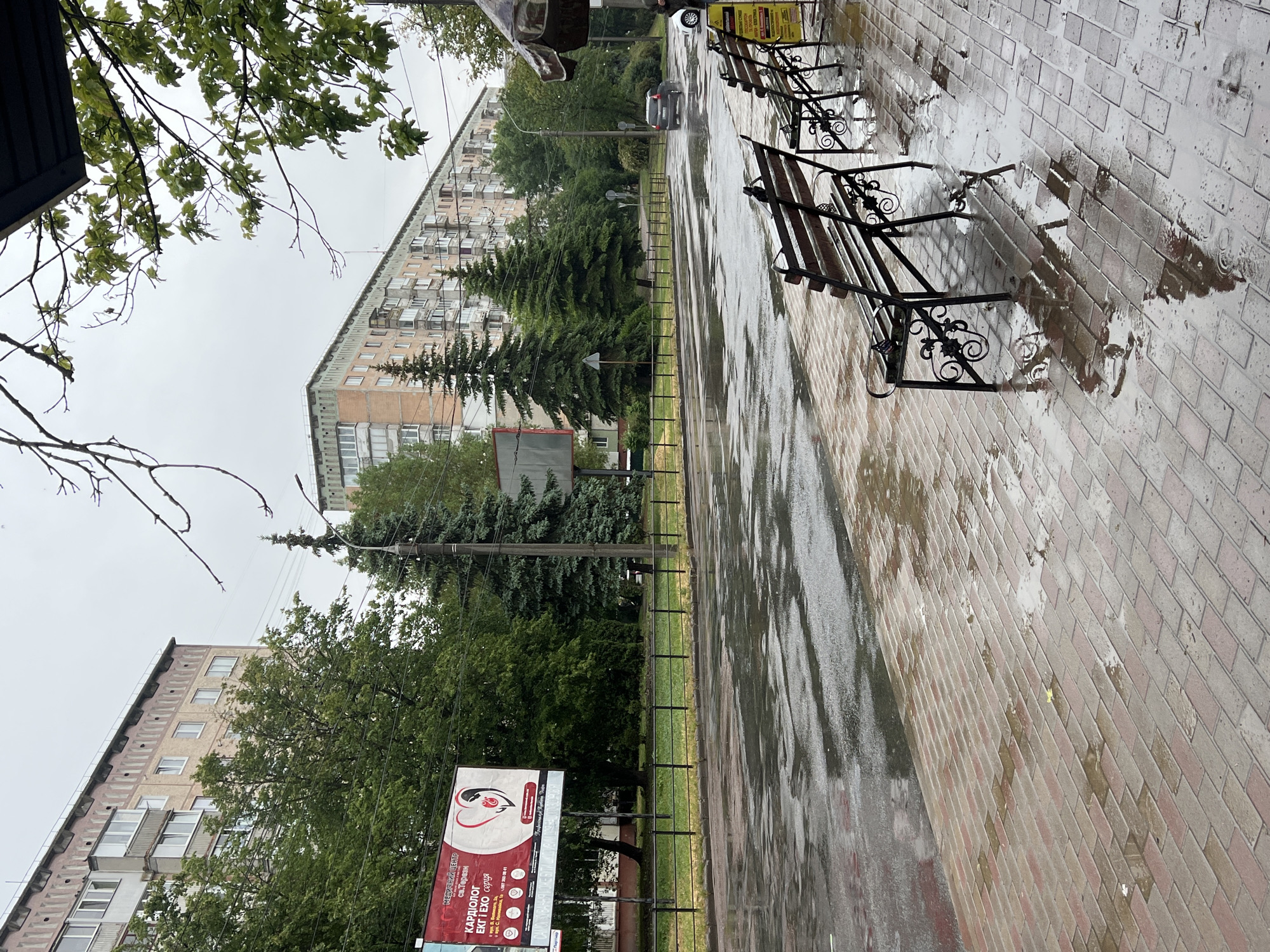 The image captures a wet urban street scene, likely after a rain shower, under a uniformly overcast sky. The perspective is tilted, showing the street stretching diagonally.
In the foreground, a brick-paved sidewalk is heavily wet, with reflective puddles and damp patches indicating recent rainfall. Several empty public benches with dark, ornate wrought-iron frames and wooden slats line the edge of the sidewalk, facing the street.
Beyond the sidewalk is a wet asphalt road, also reflecting the grey sky and surrounding greenery. A grey car is visible on the road, moving away from the viewer, and another white car is partially seen further up. Separating the road from the background is a strip of green grass, bordered by a low metal fence, featuring several tall coniferous trees and other deciduous trees with dense green foliage. Utility poles and overhead wires crisscross the frame.
A prominent billboard stands on the grassy strip. It advertises "Медичний центр Св. Пантелеймон" (Medical Center St. Panteleimon) and lists services including "КАРДІОЛОГ ЕКГ і ЕХО серця" (Cardiologist ECG and Echo of the heart). A phone number (+380 98 000 00 41) and what appears to be an address, "м. Тернопіль, вул. С. Новаківського, 5", are also visible.
In the background, large, multi-story residential buildings with numerous windows and balconies, consistent with Eastern European urban architecture, stand under the grey sky. The buildings have facades in shades of light brown and off-white. The overall atmosphere is quiet and calm, characteristic of a post-rain urban environment, with no people visible in the scene.
